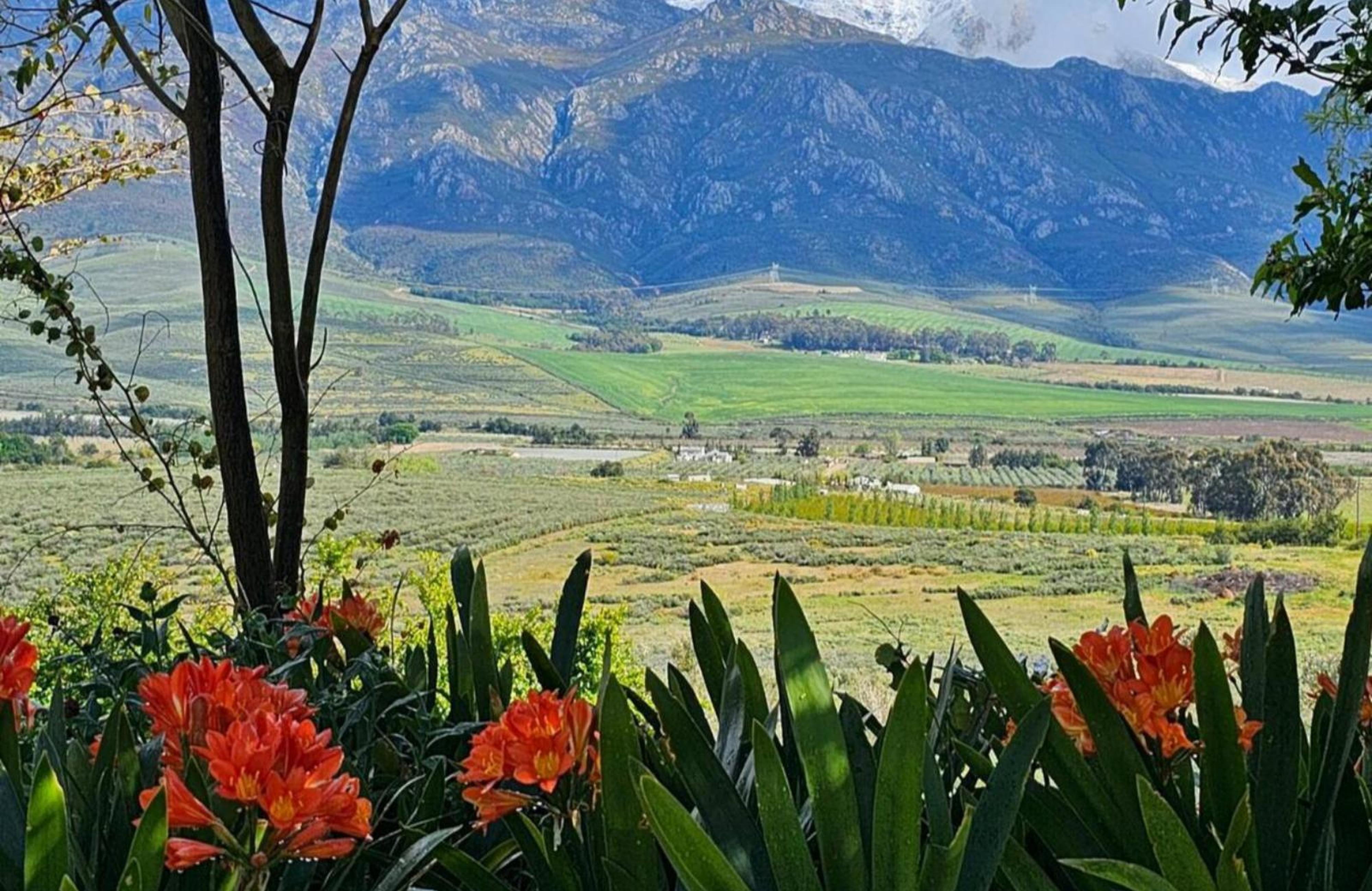 Paradise in the Winelands, photo 23