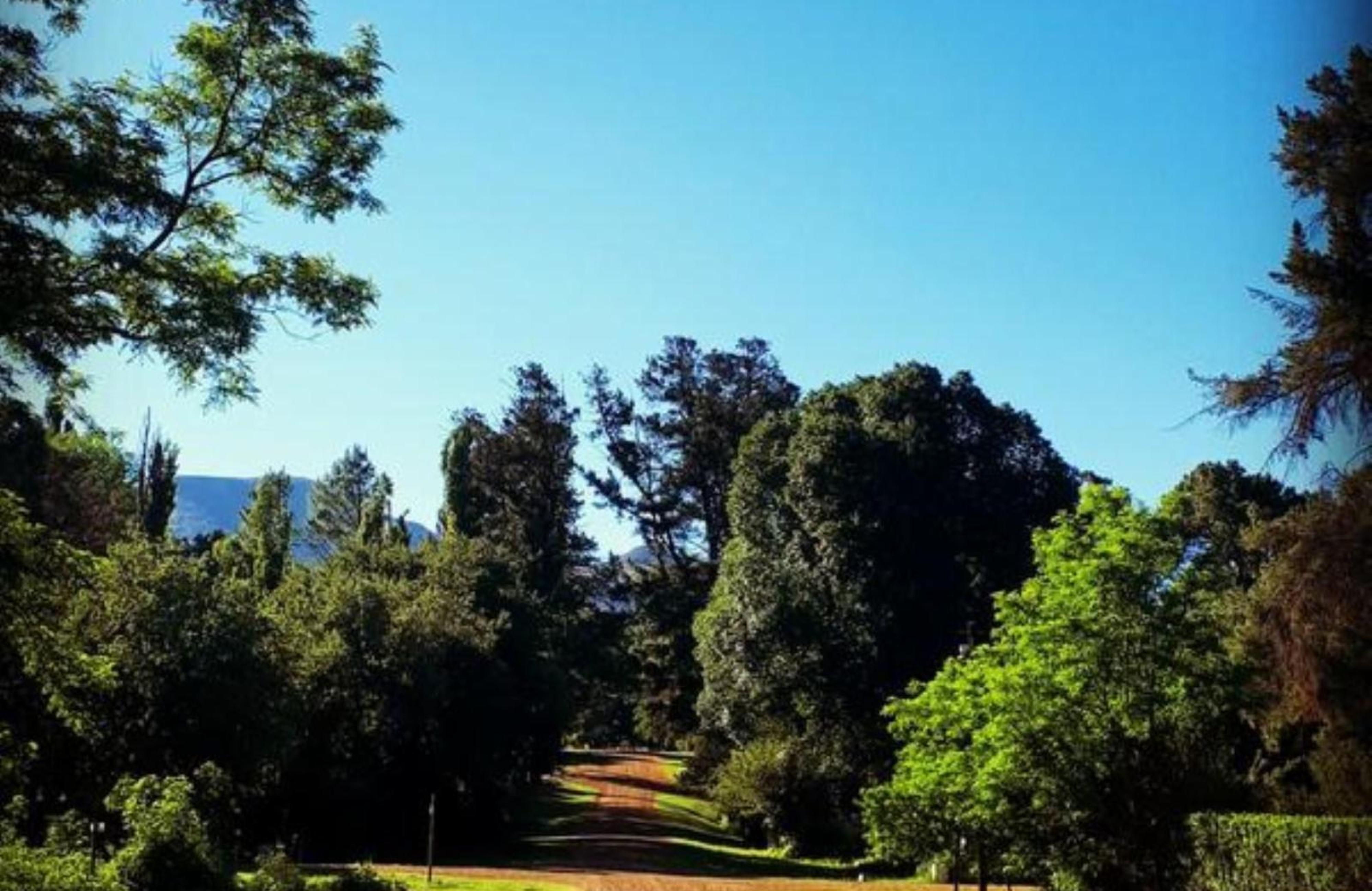 Royal Manor, photo 19