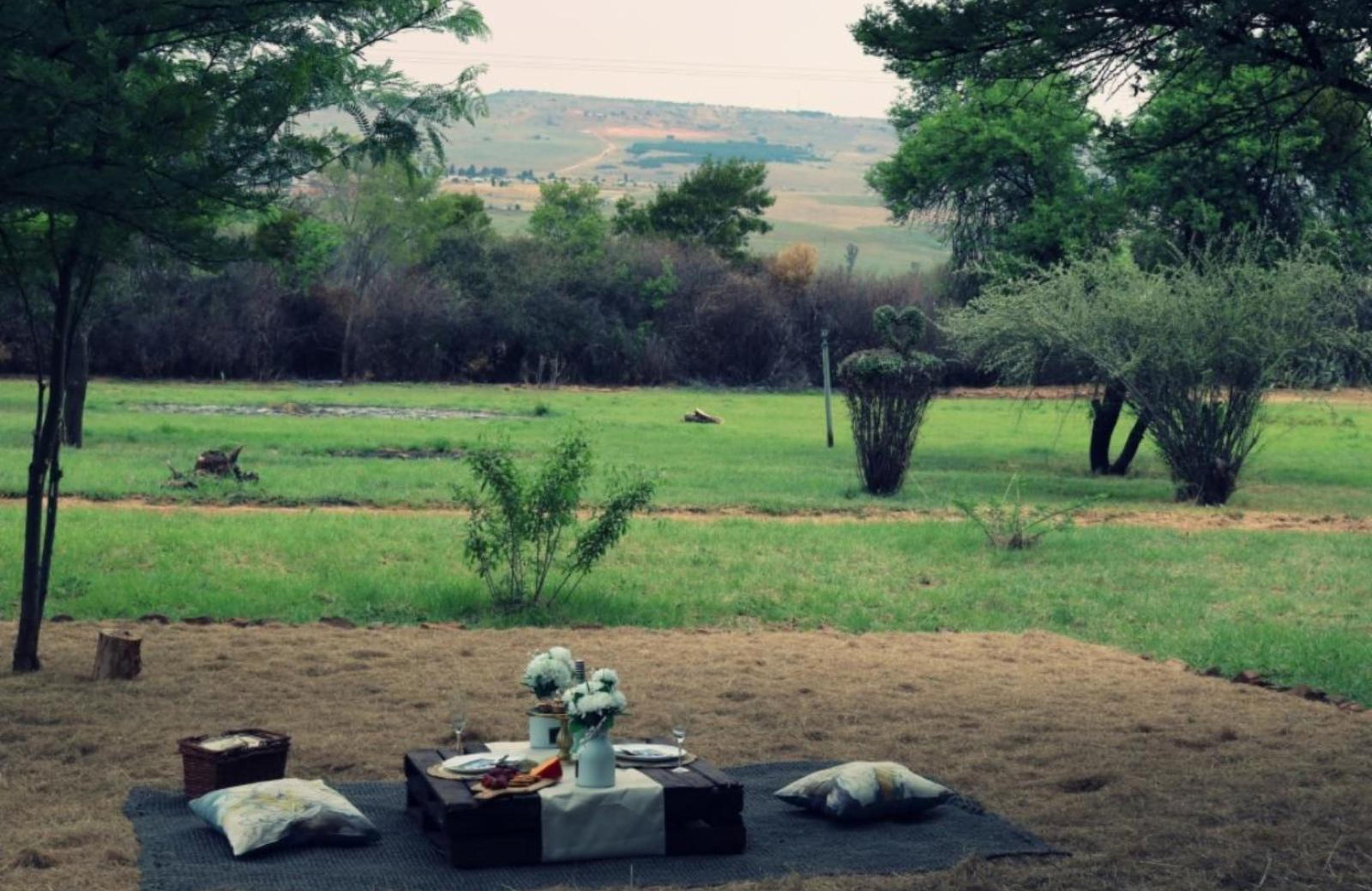 Rising Rocks Farm, photo 13