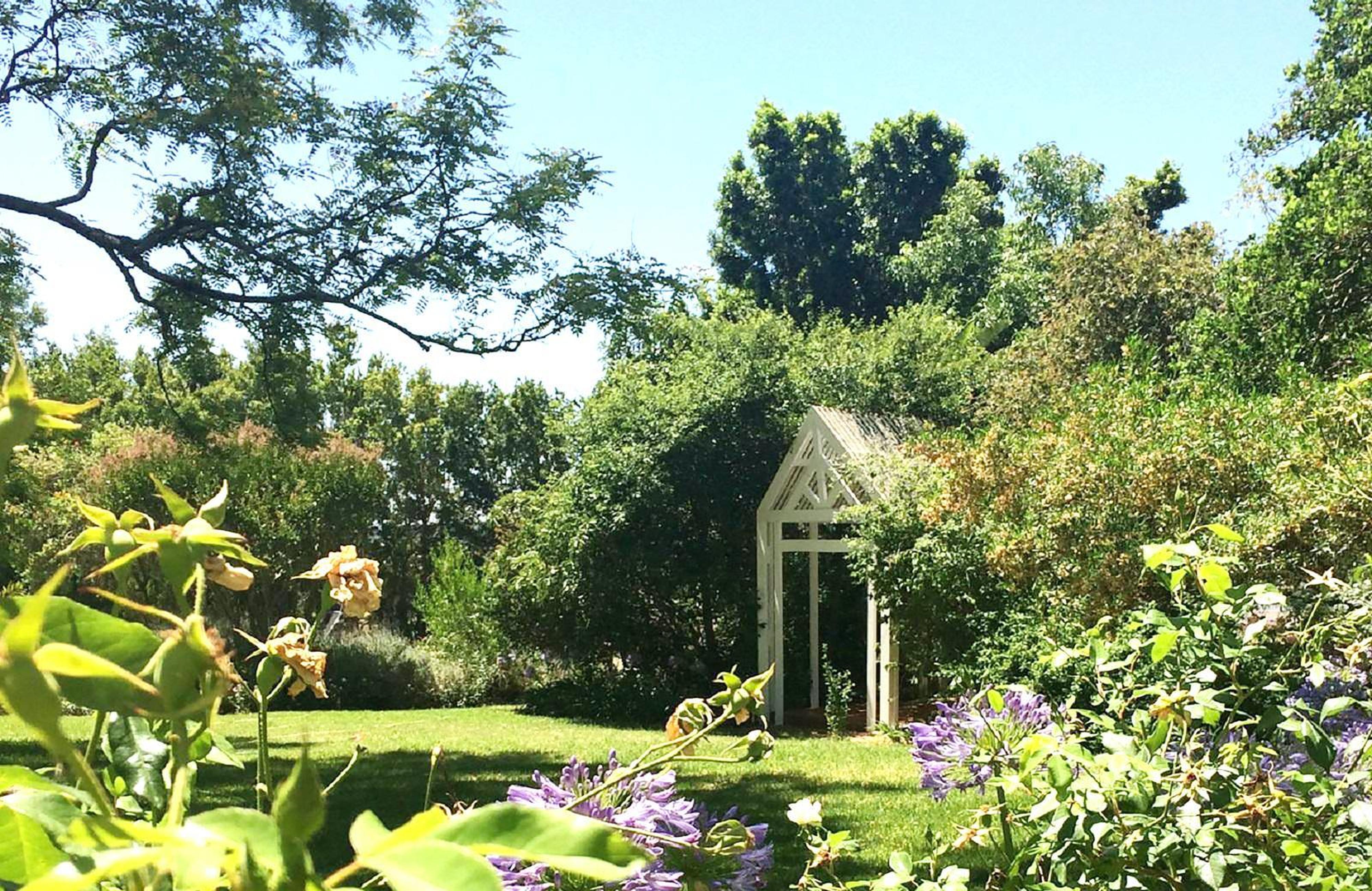 5 Mountains Lodge, photo 2