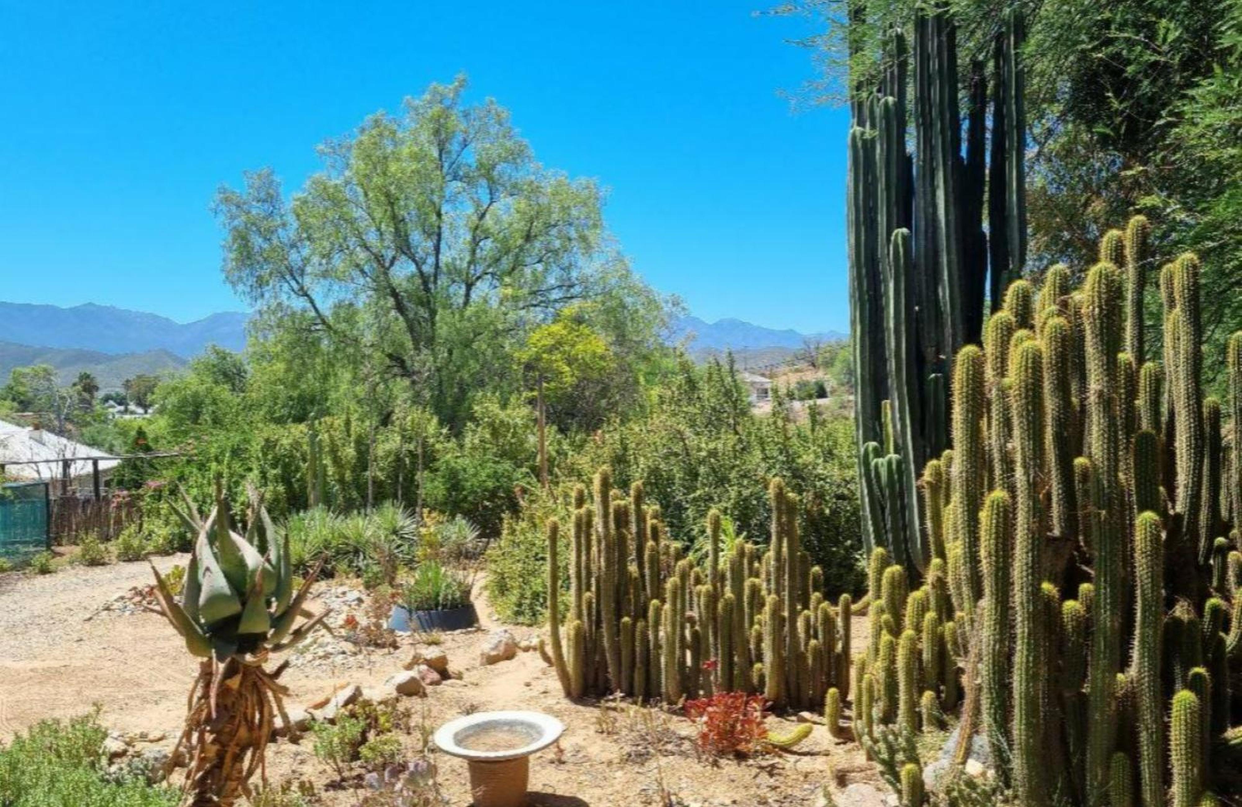 Karoo Nest, photo 12