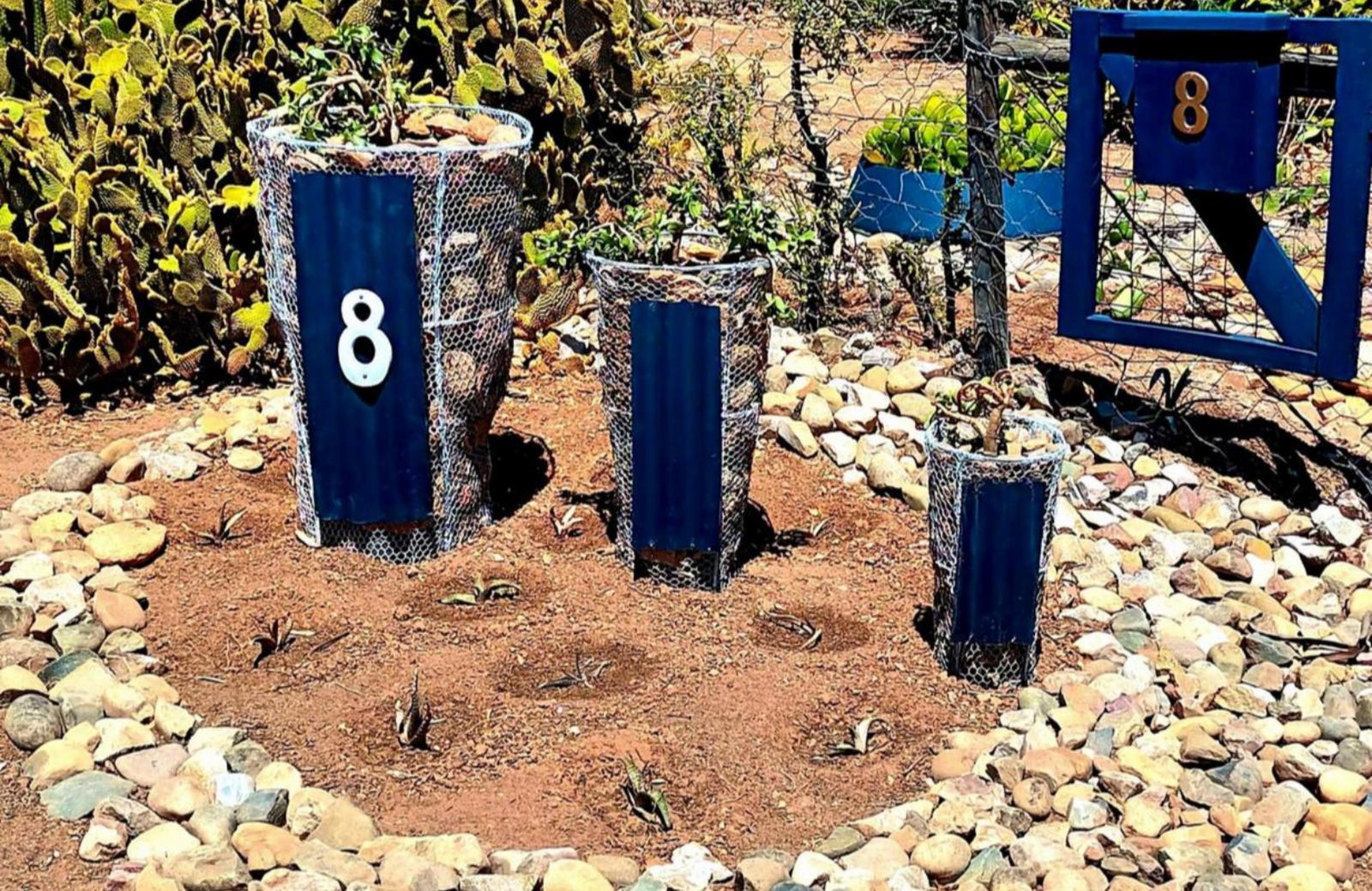 Karoo Nest, photo 21