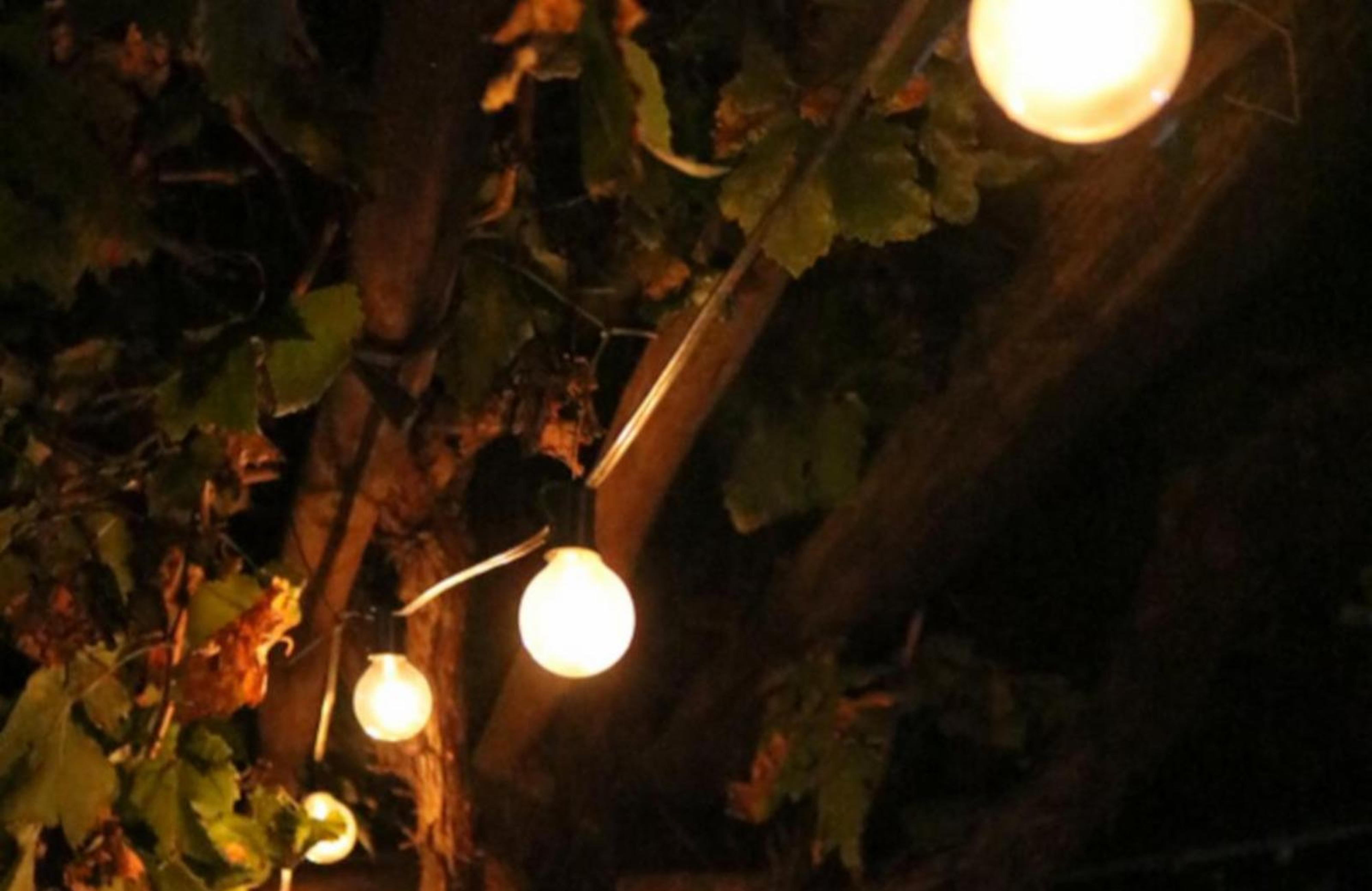 DeHoek Guesthouse, photo 7