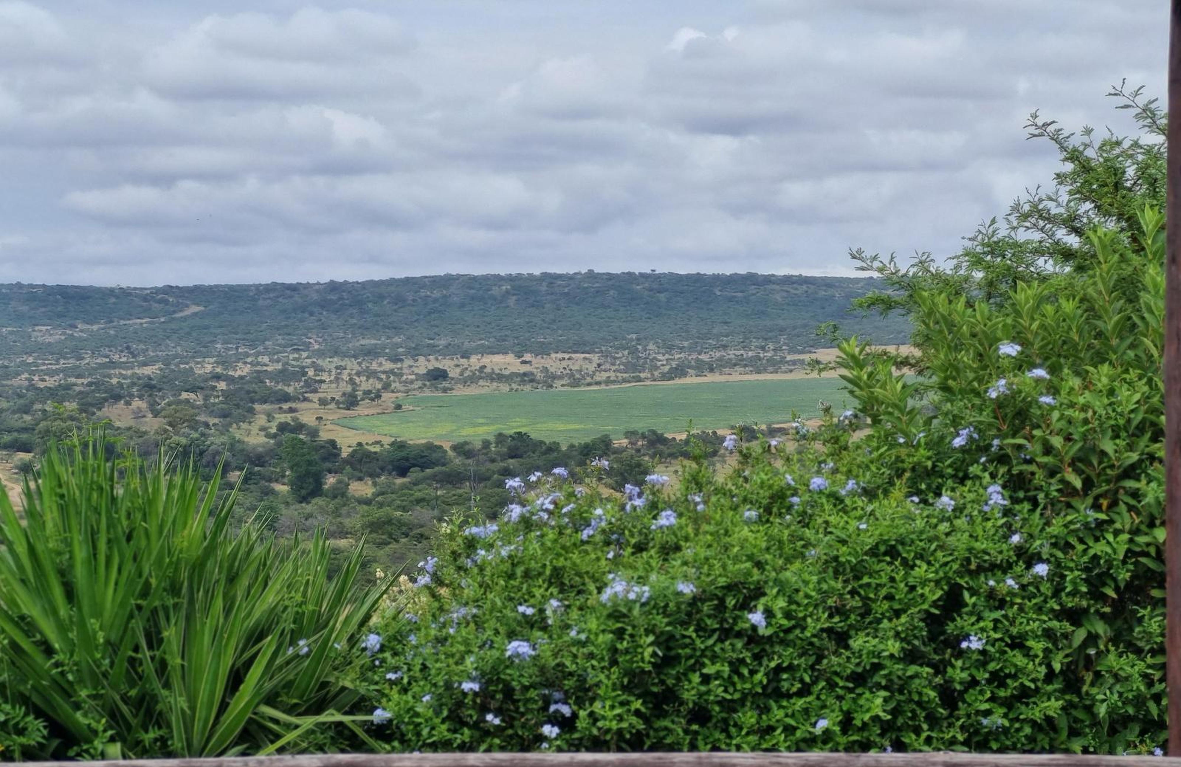 Platrand Lodge, photo 6