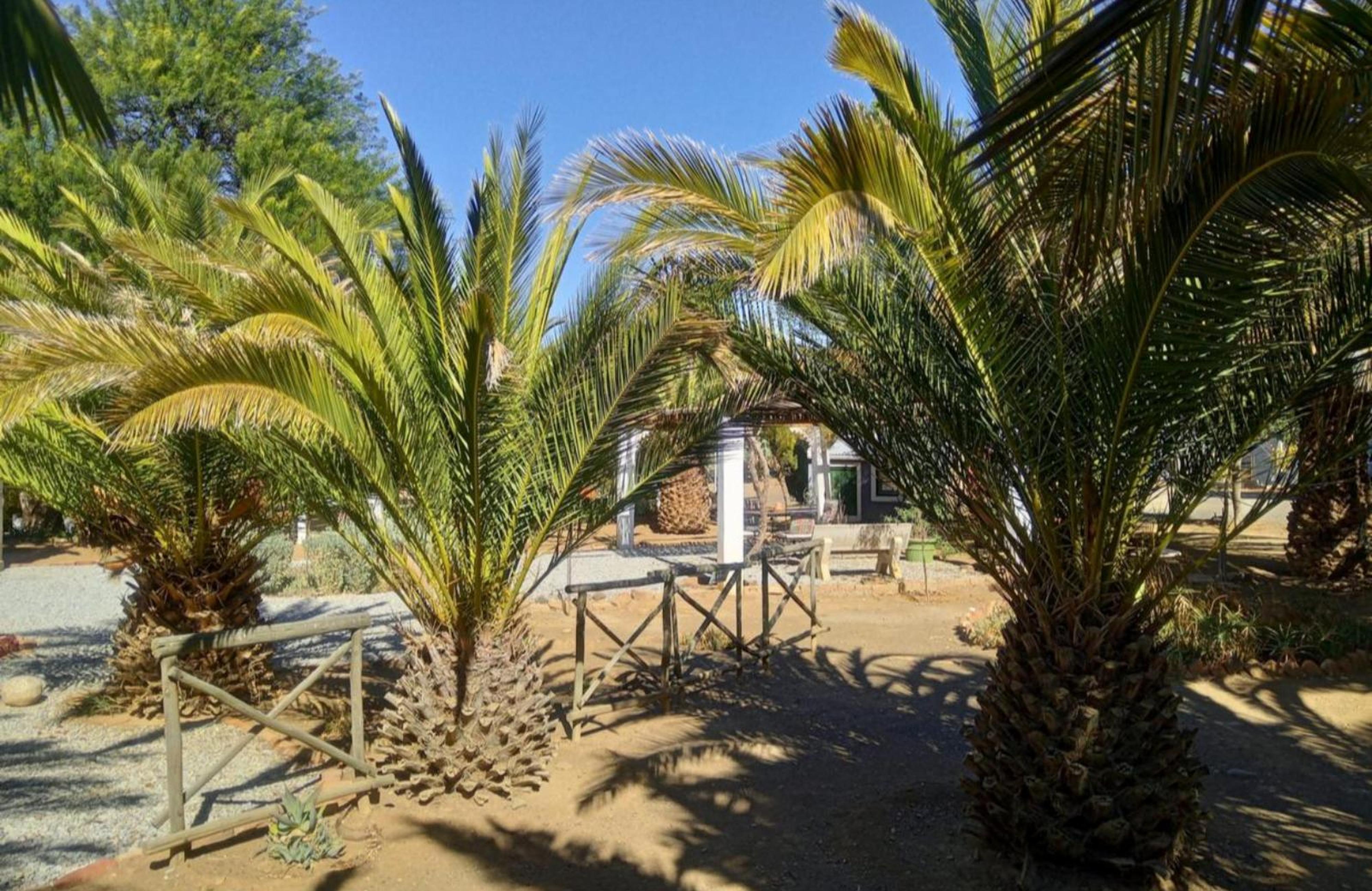 Die Blou Nartjie Guesthouse and Restaurant, photo 9