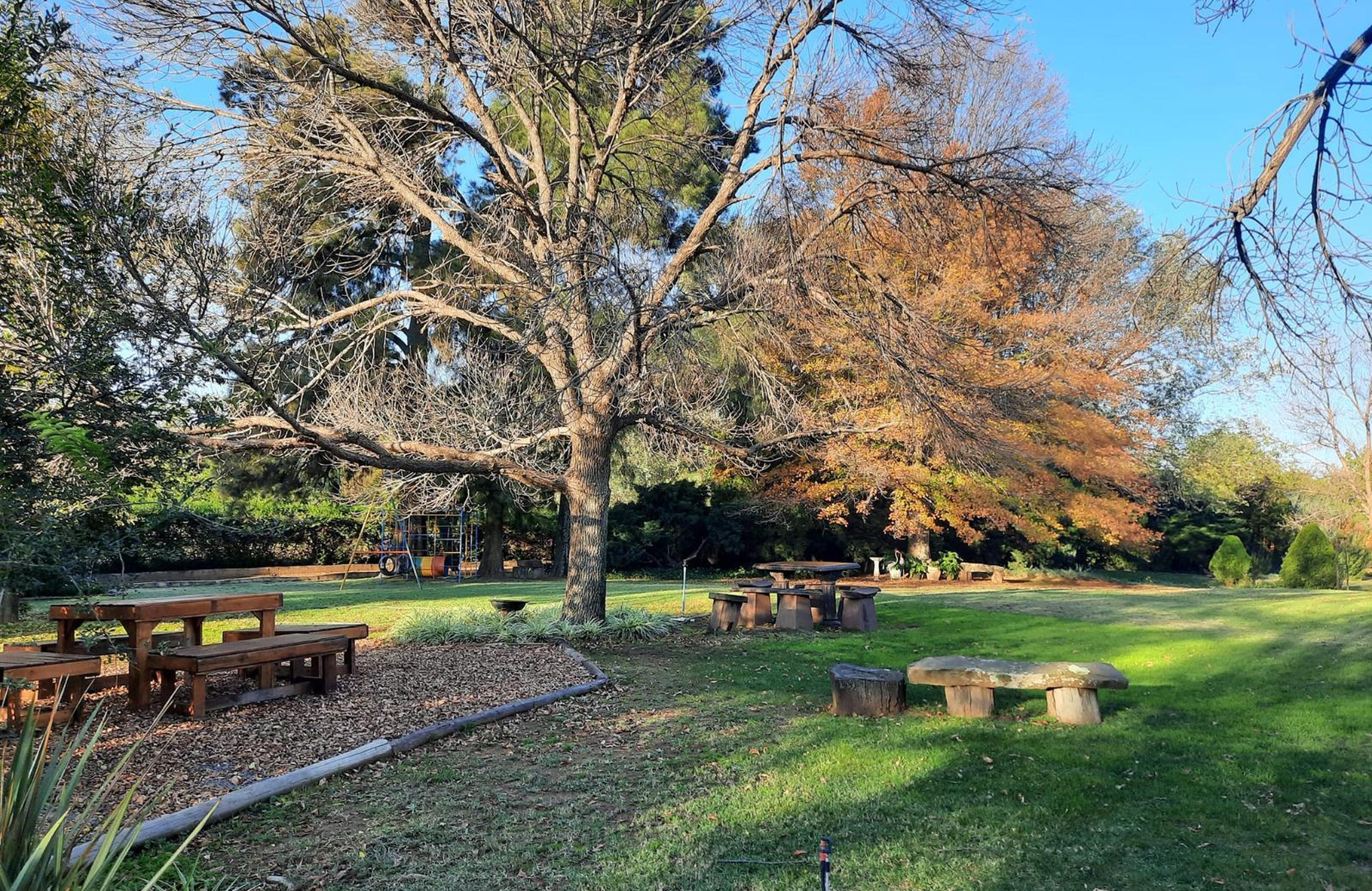 Pecan Grove, photo 7