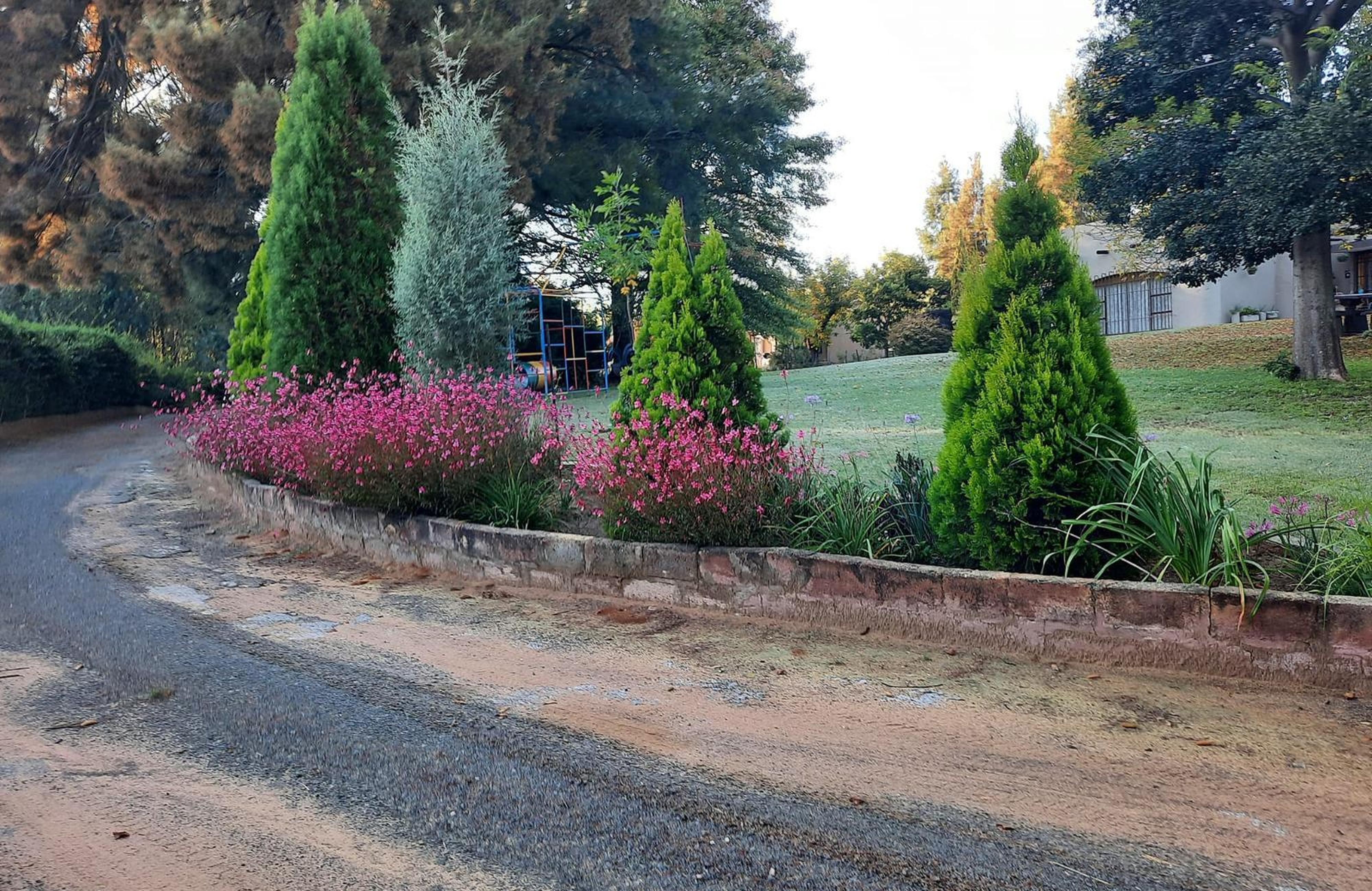 Pecan Grove, photo 13