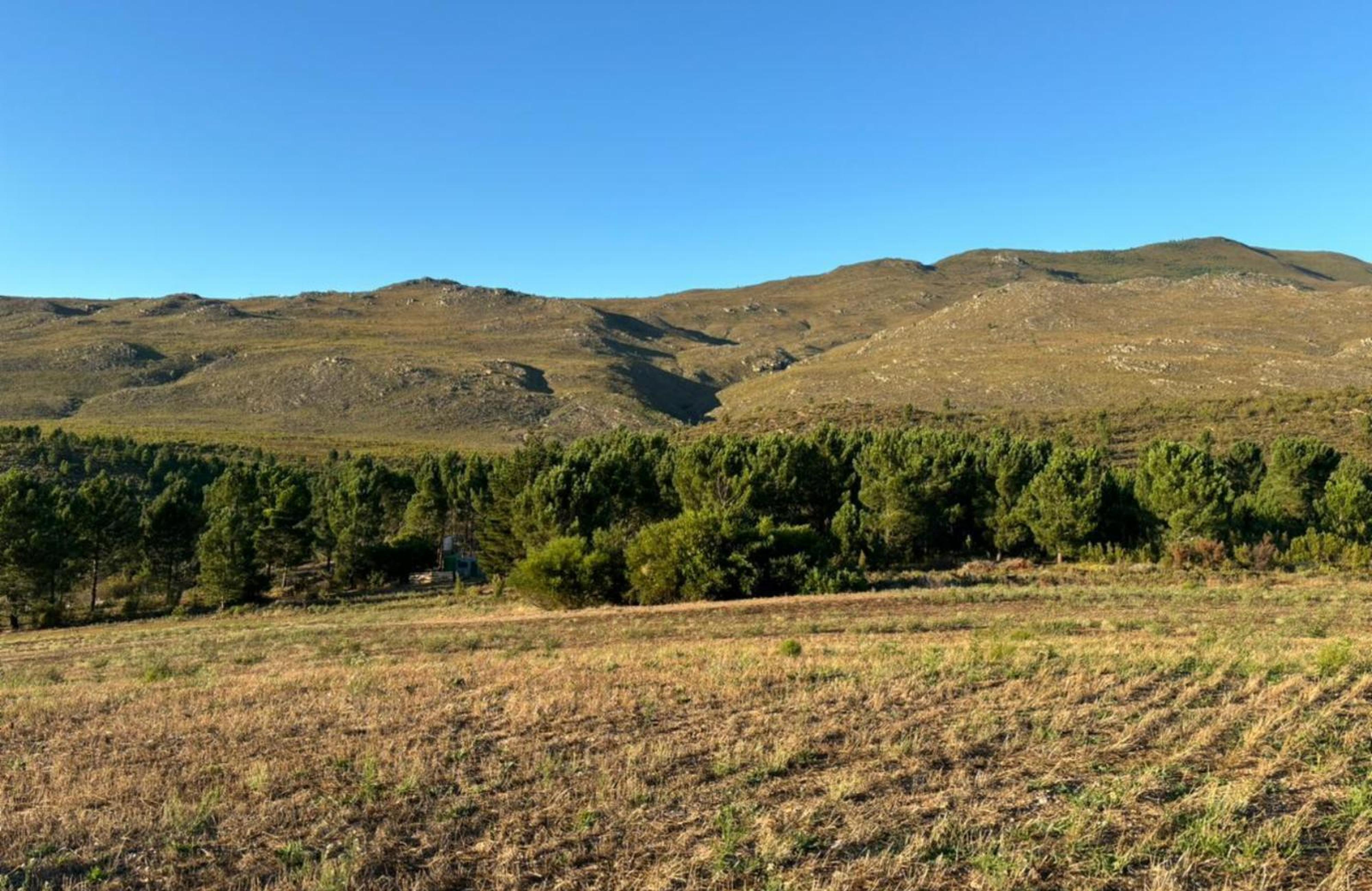 Bontjas Glamping, photo 3