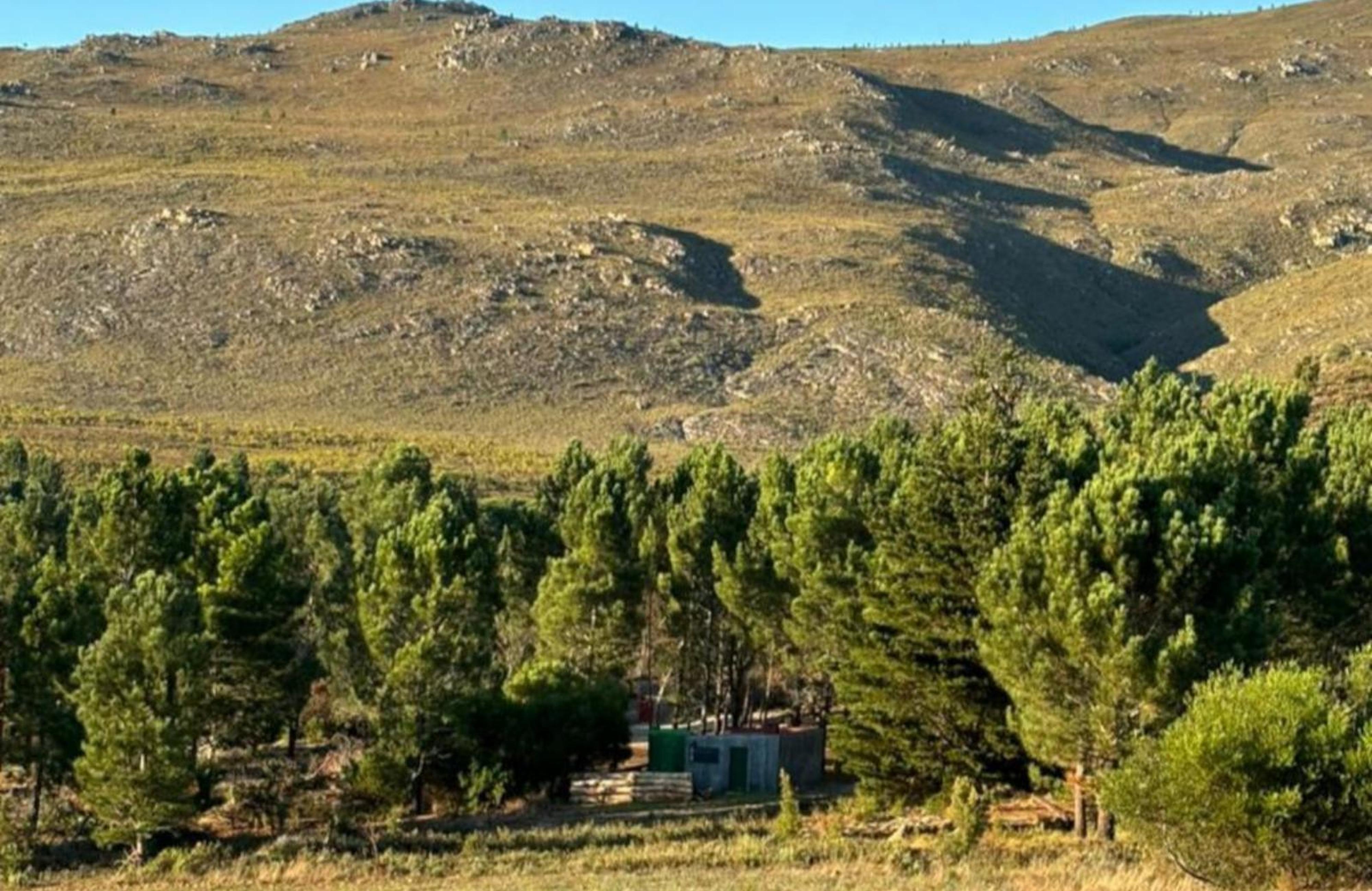 Bontjas Glamping, photo 13