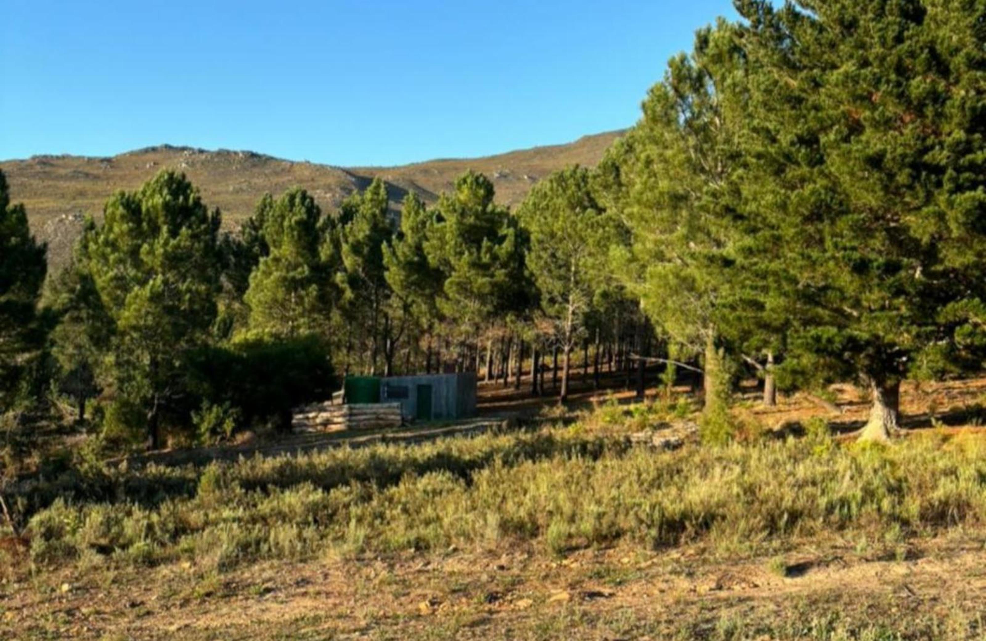 Bontjas Glamping, photo 2