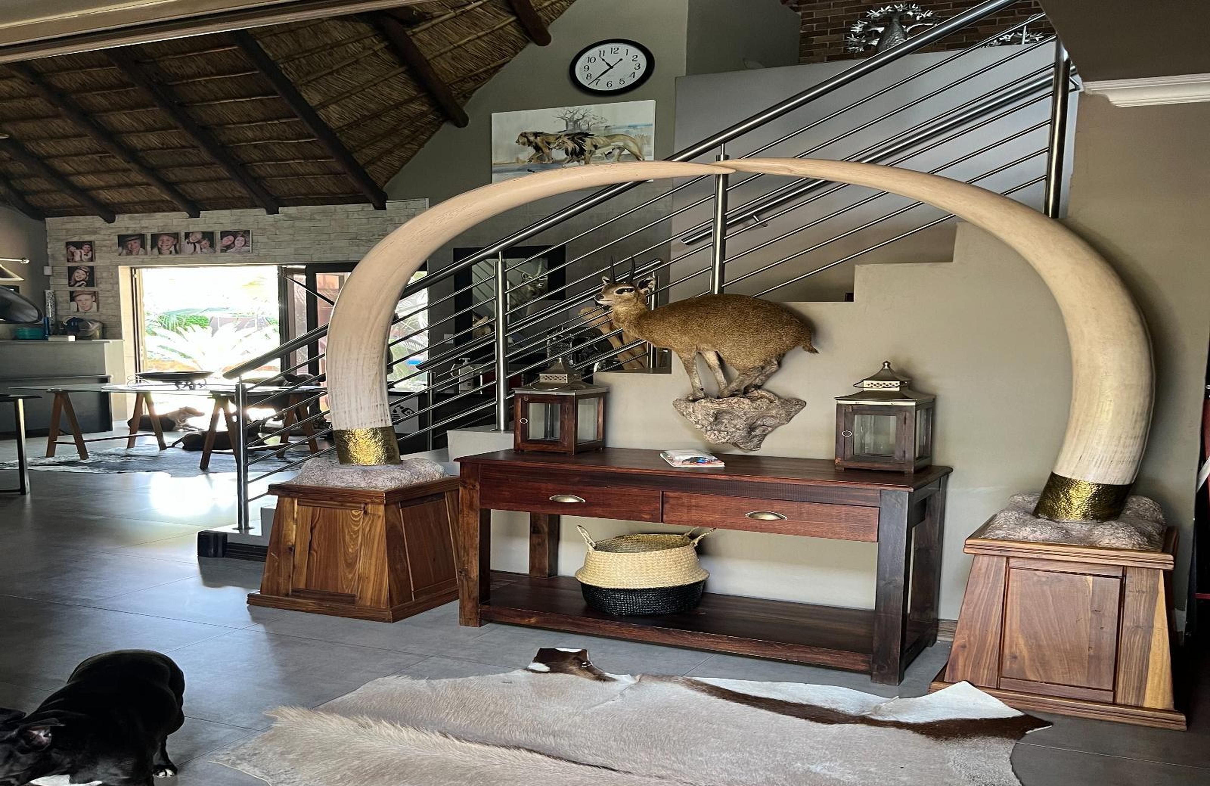 Oryx B&B, photo 16