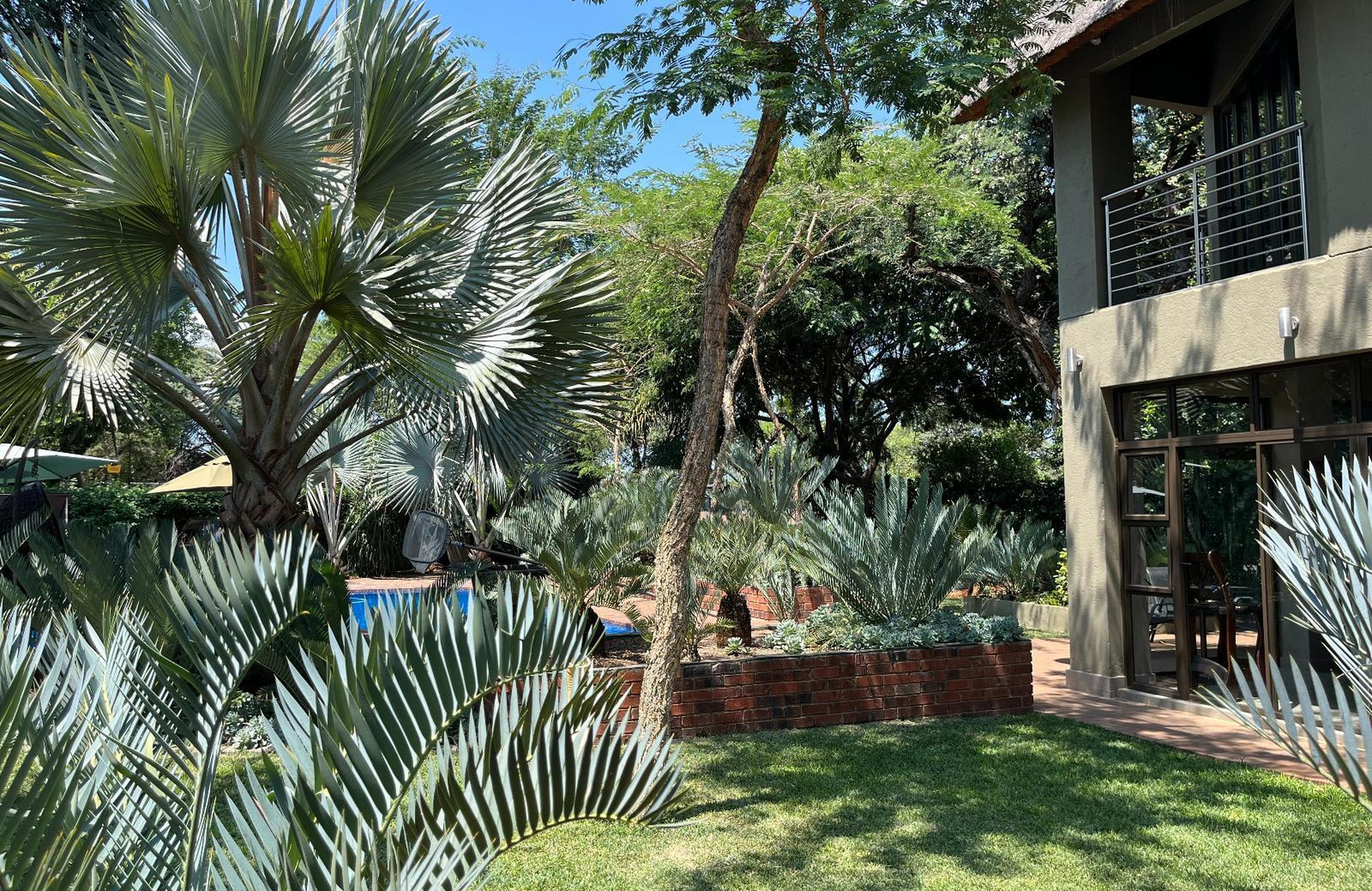Oryx B&B, photo 5