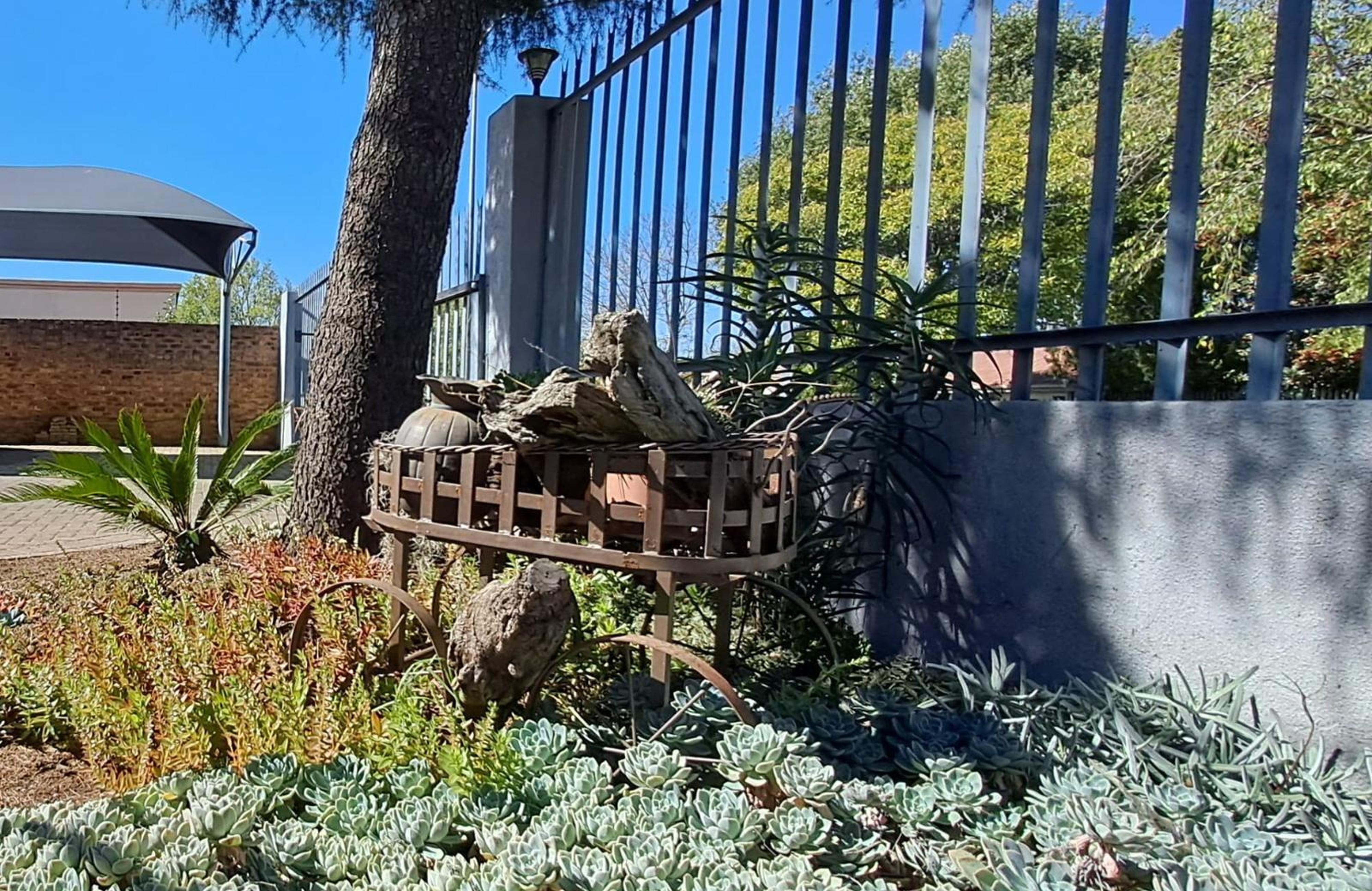 Middelbult Guesthouse, photo 3