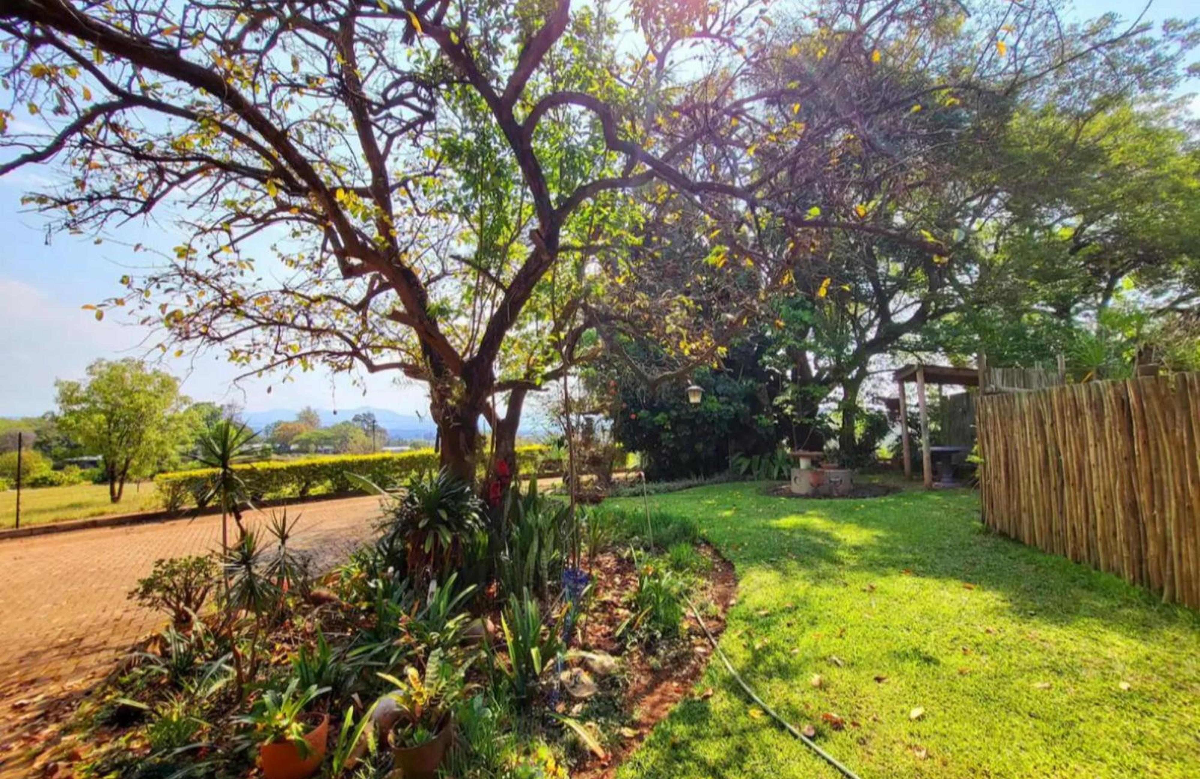 Home On A Hill Accommodation, photo 6