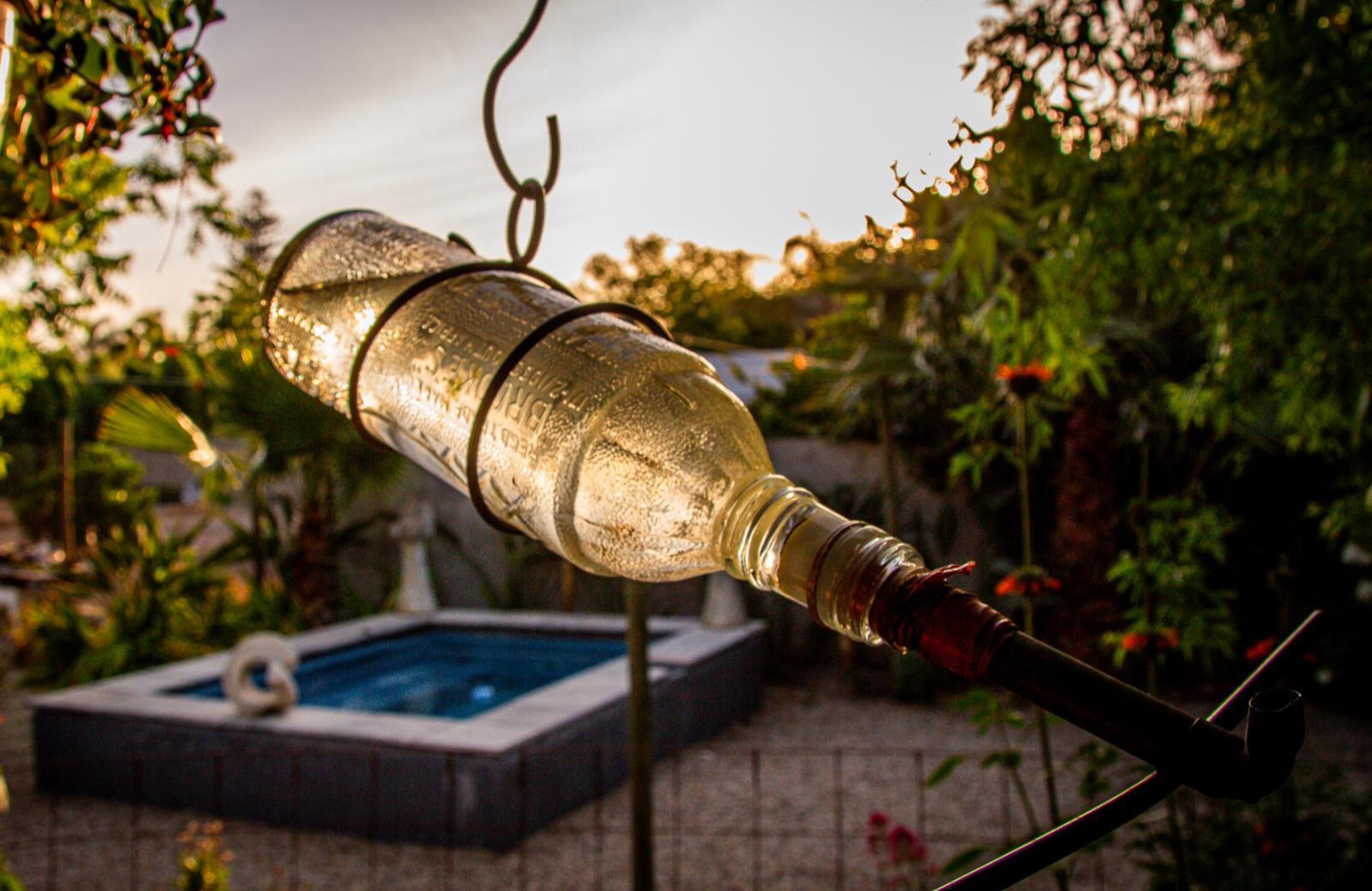 Ebonymoon Guest House & Studio, photo 14