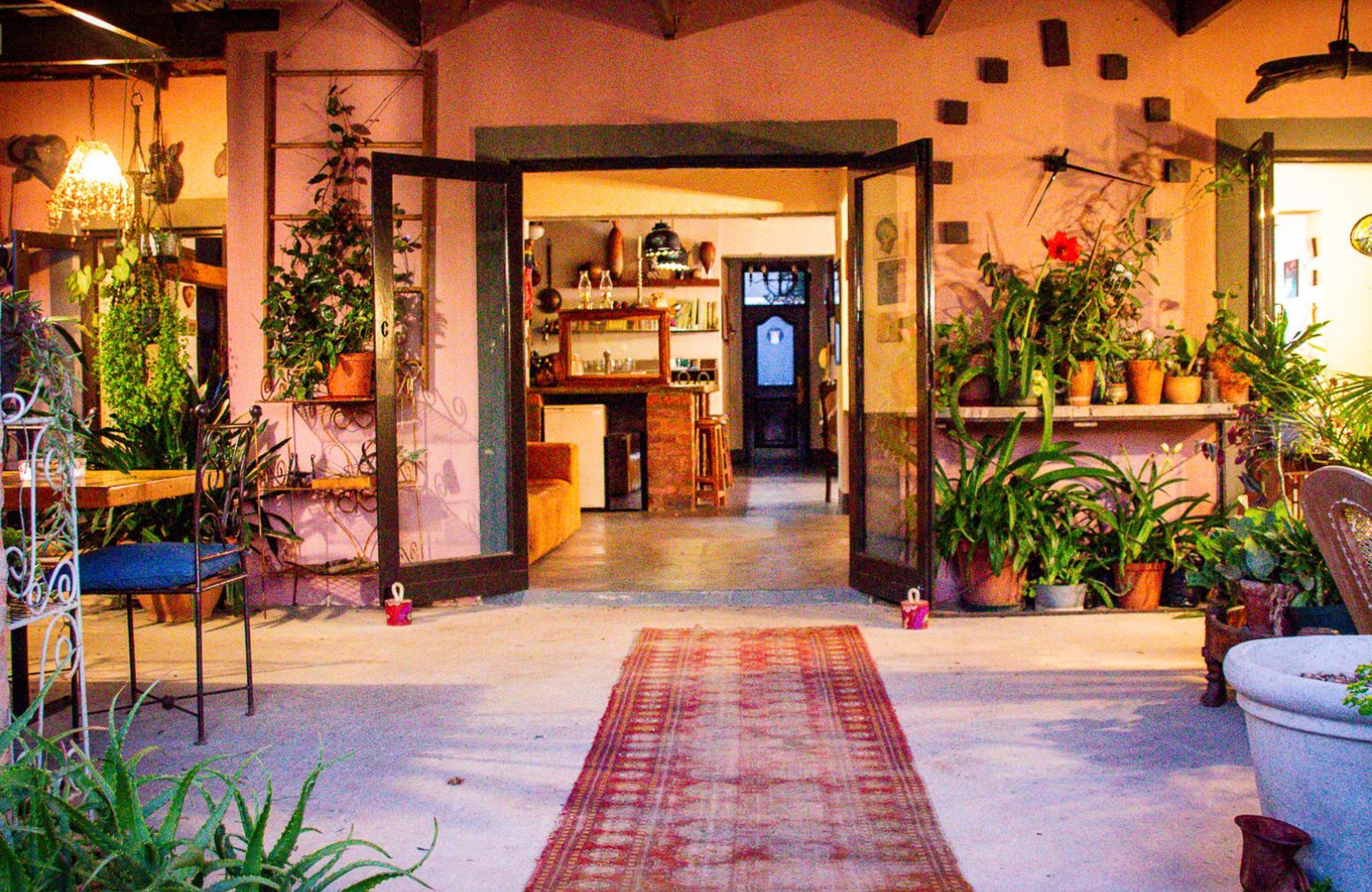 Ebonymoon Guest House & Studio, photo 10