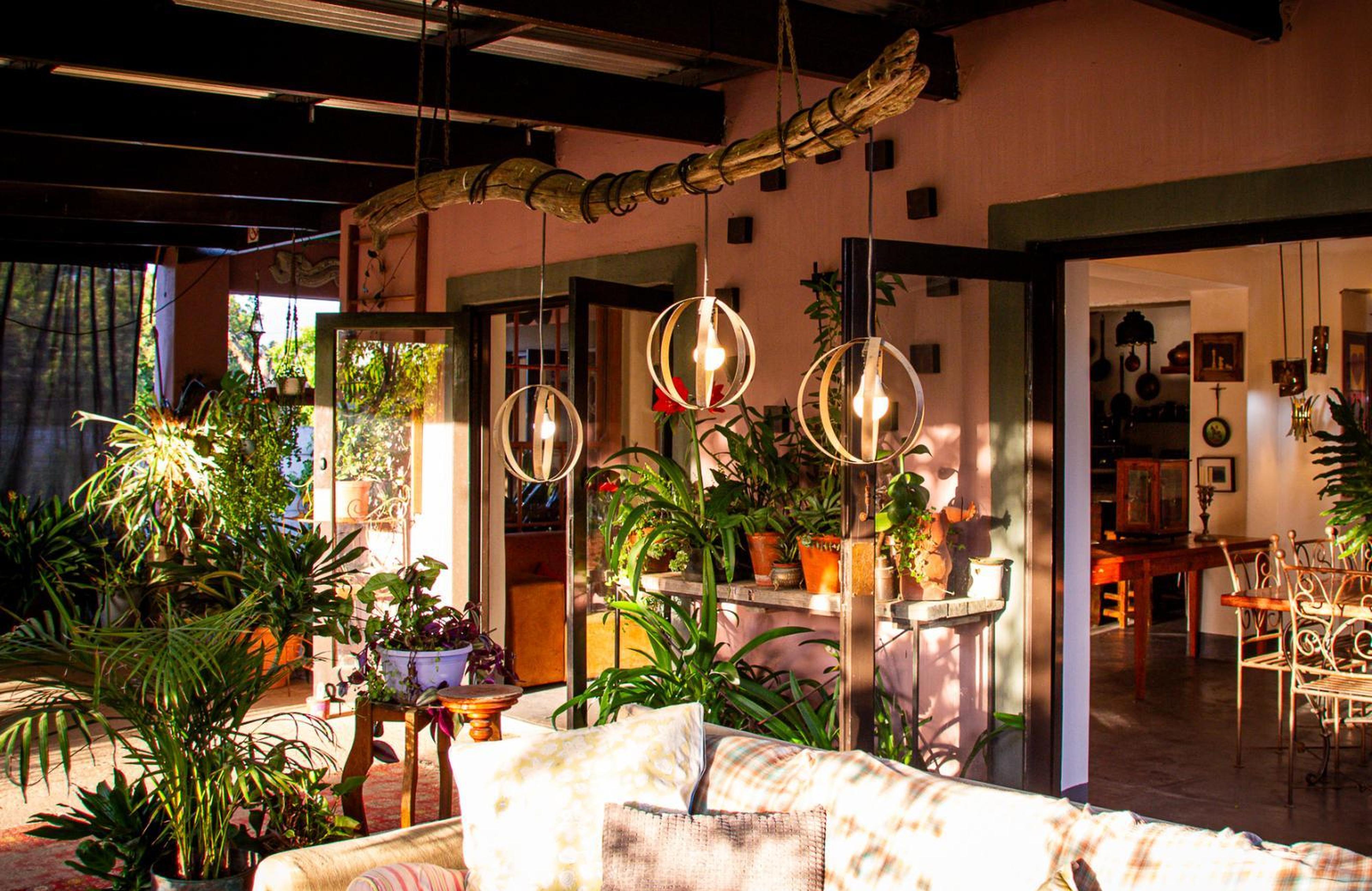 Ebonymoon Guest House & Studio, photo 15