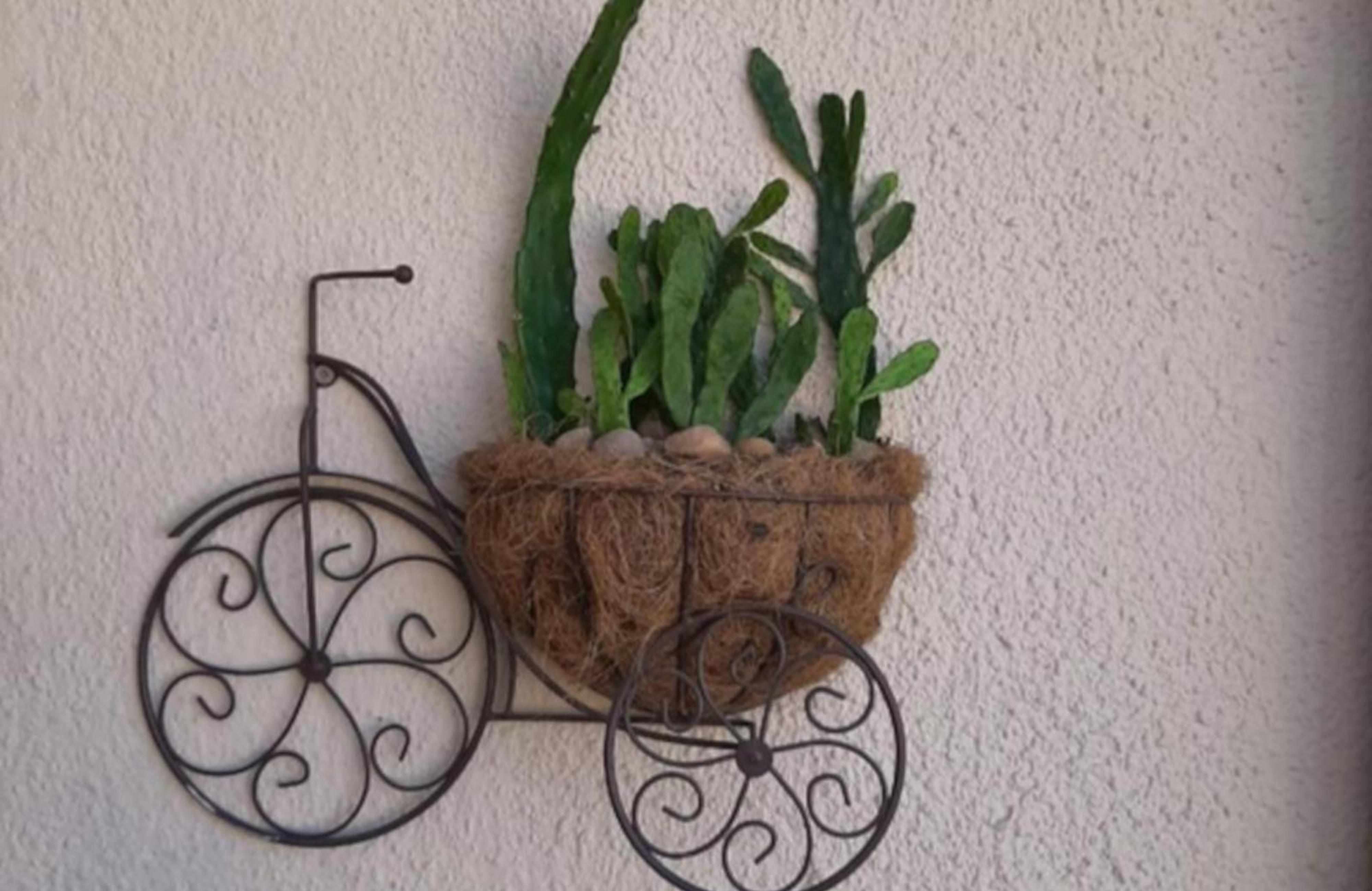 Opiepad Guesthouse, photo 6