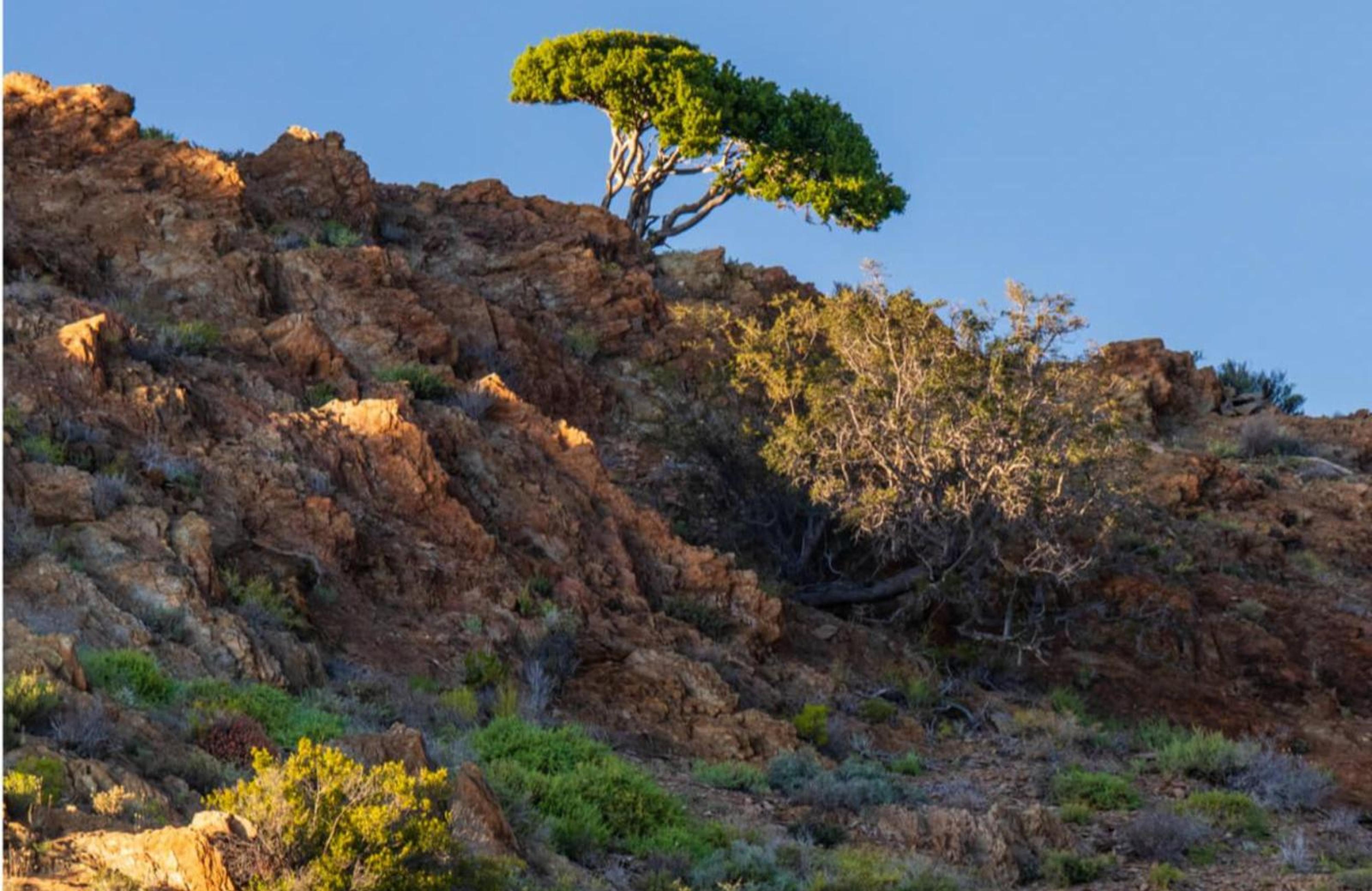 Aardvark Bioreserve, photo 6