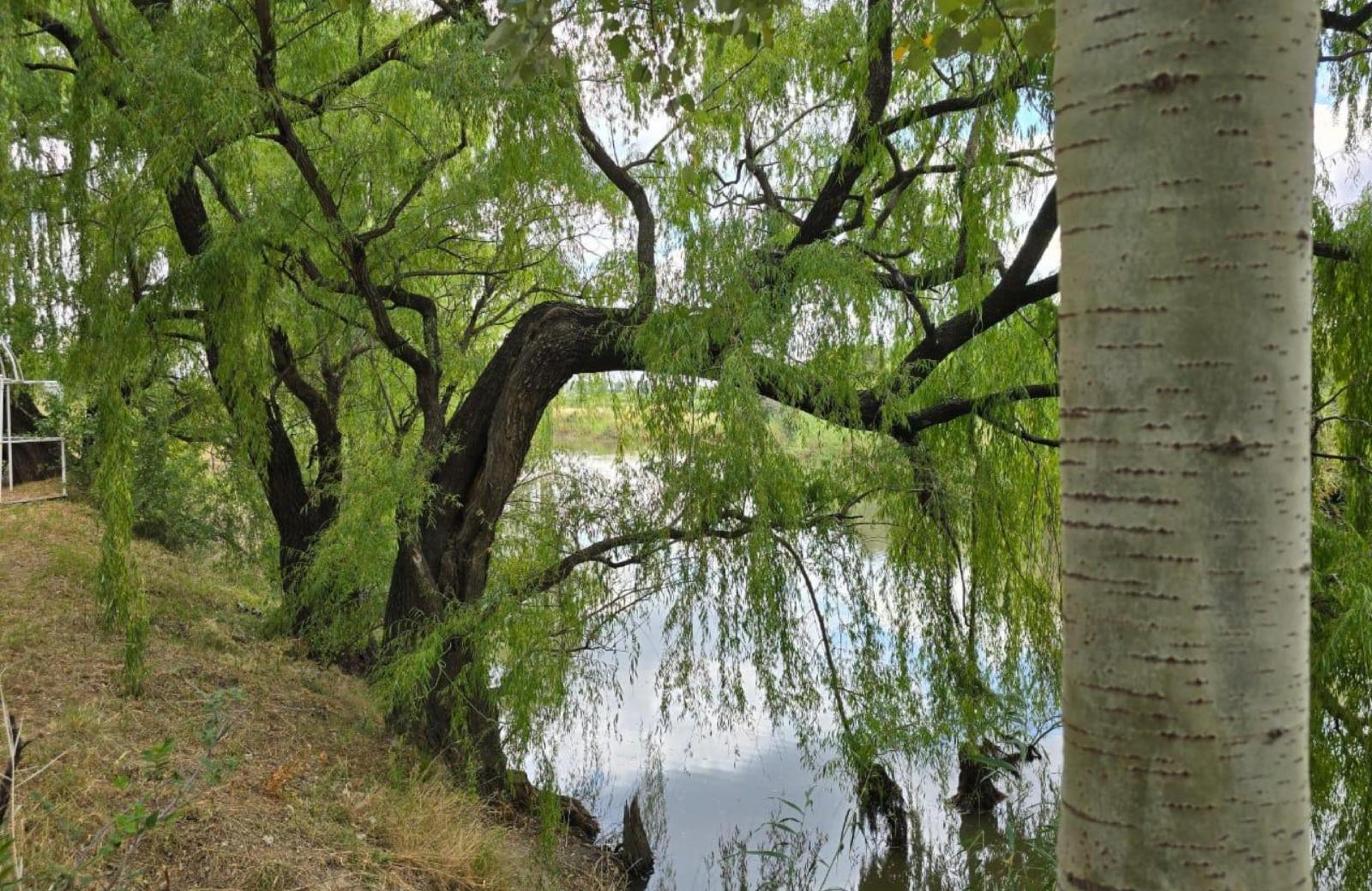 Retief Guest Farm, photo 11