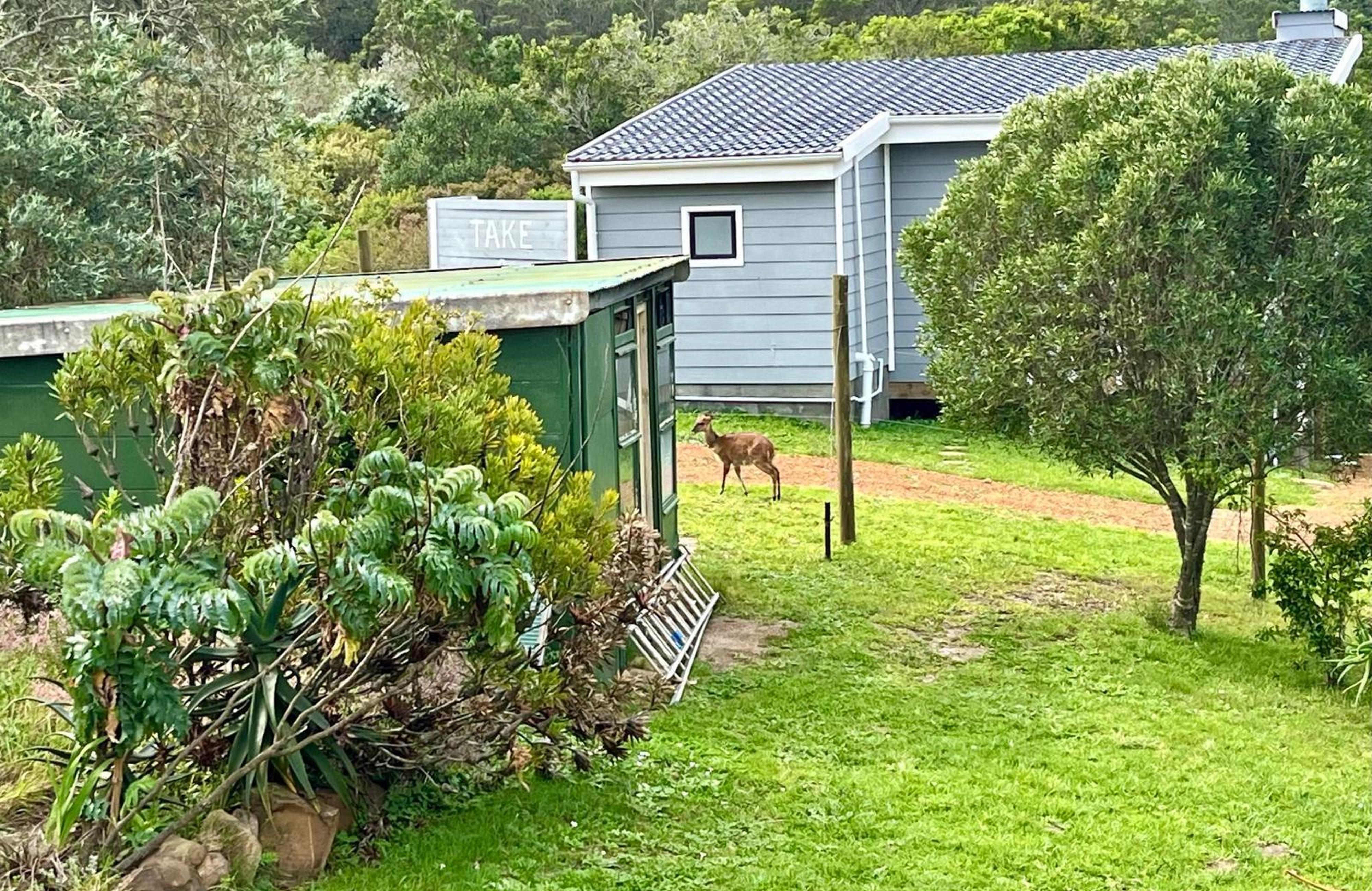 BushBuck Farm, photo 15