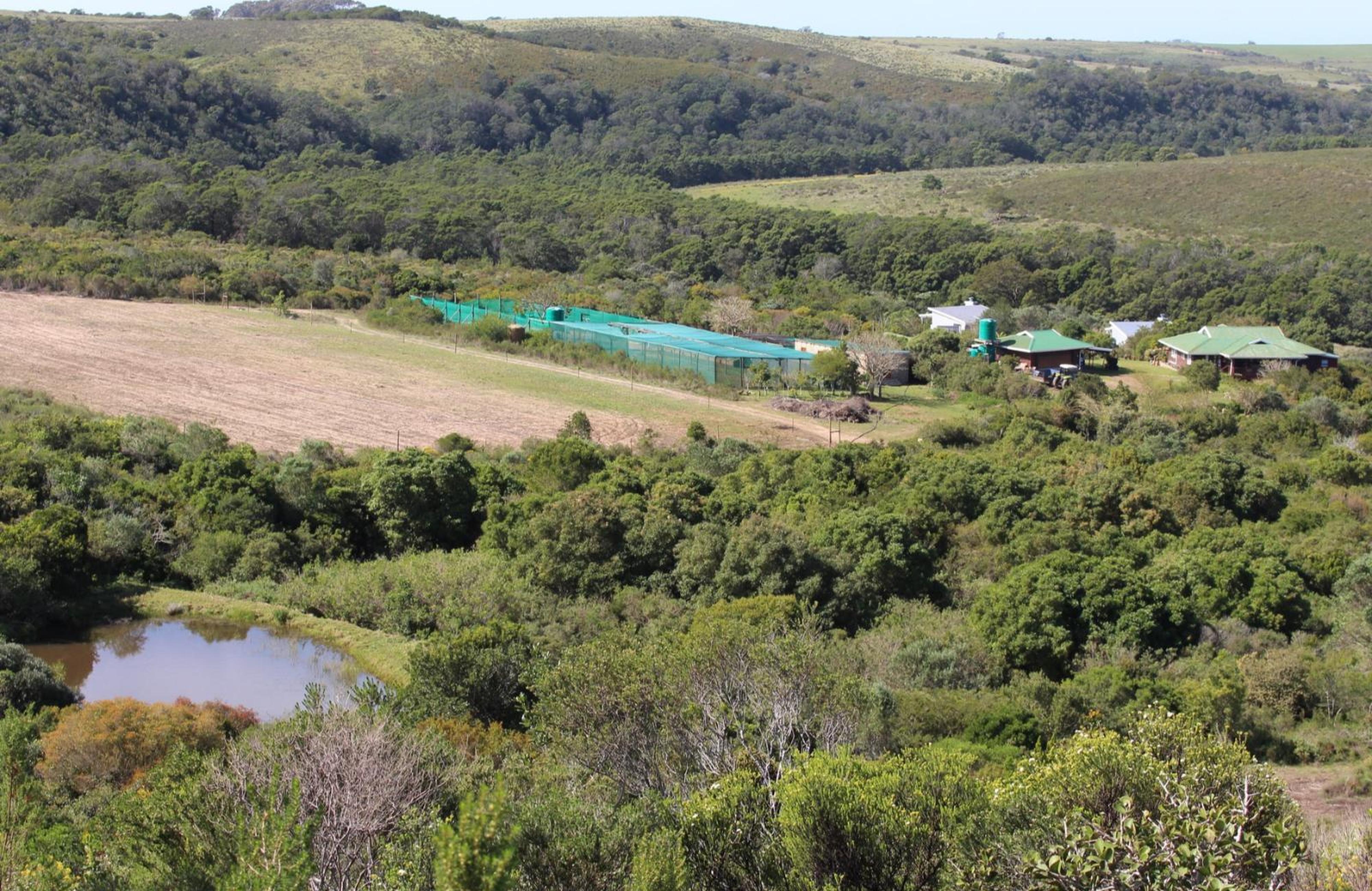 BushBuck Farm, photo 11