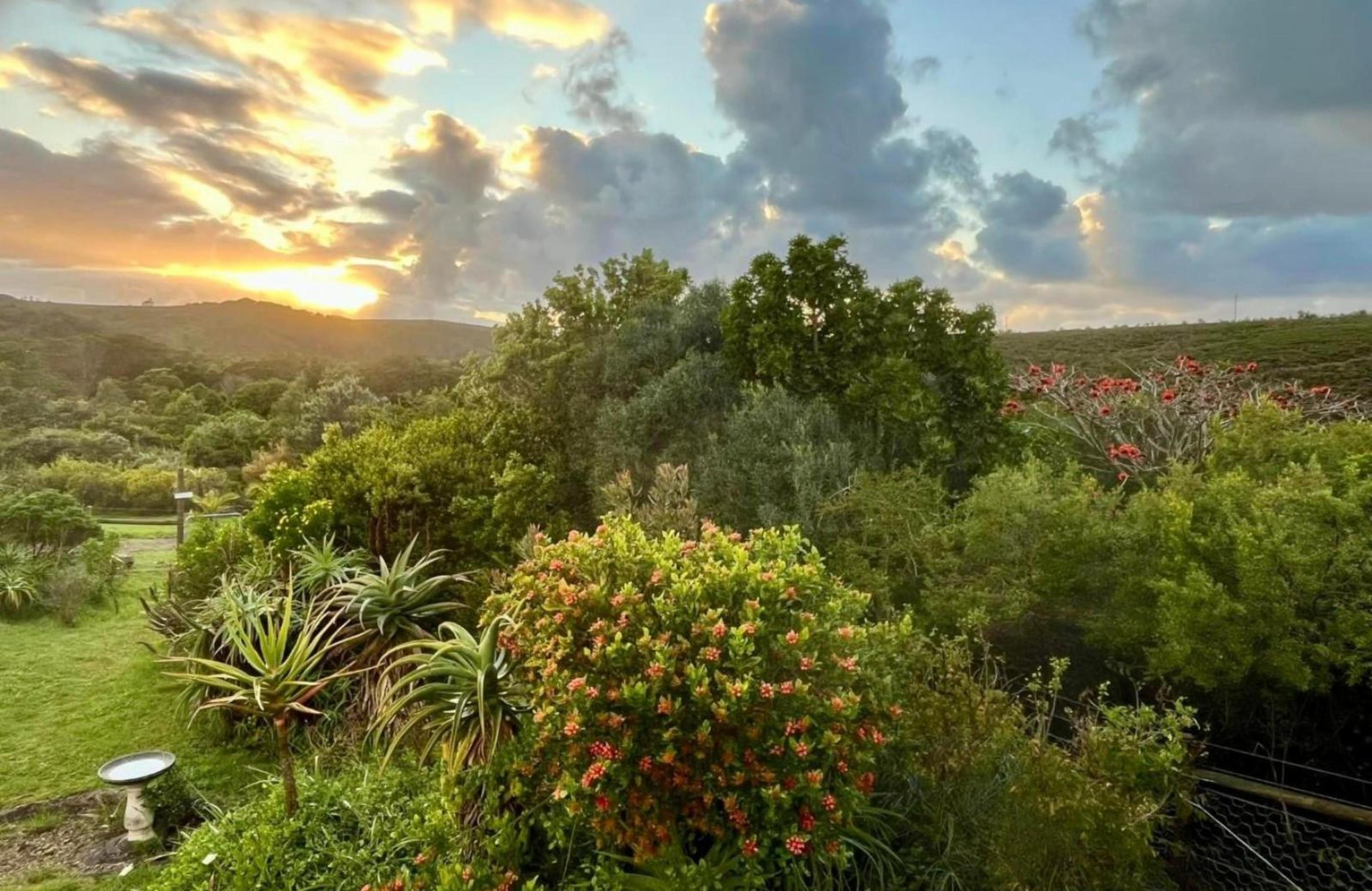 BushBuck Farm, photo 7