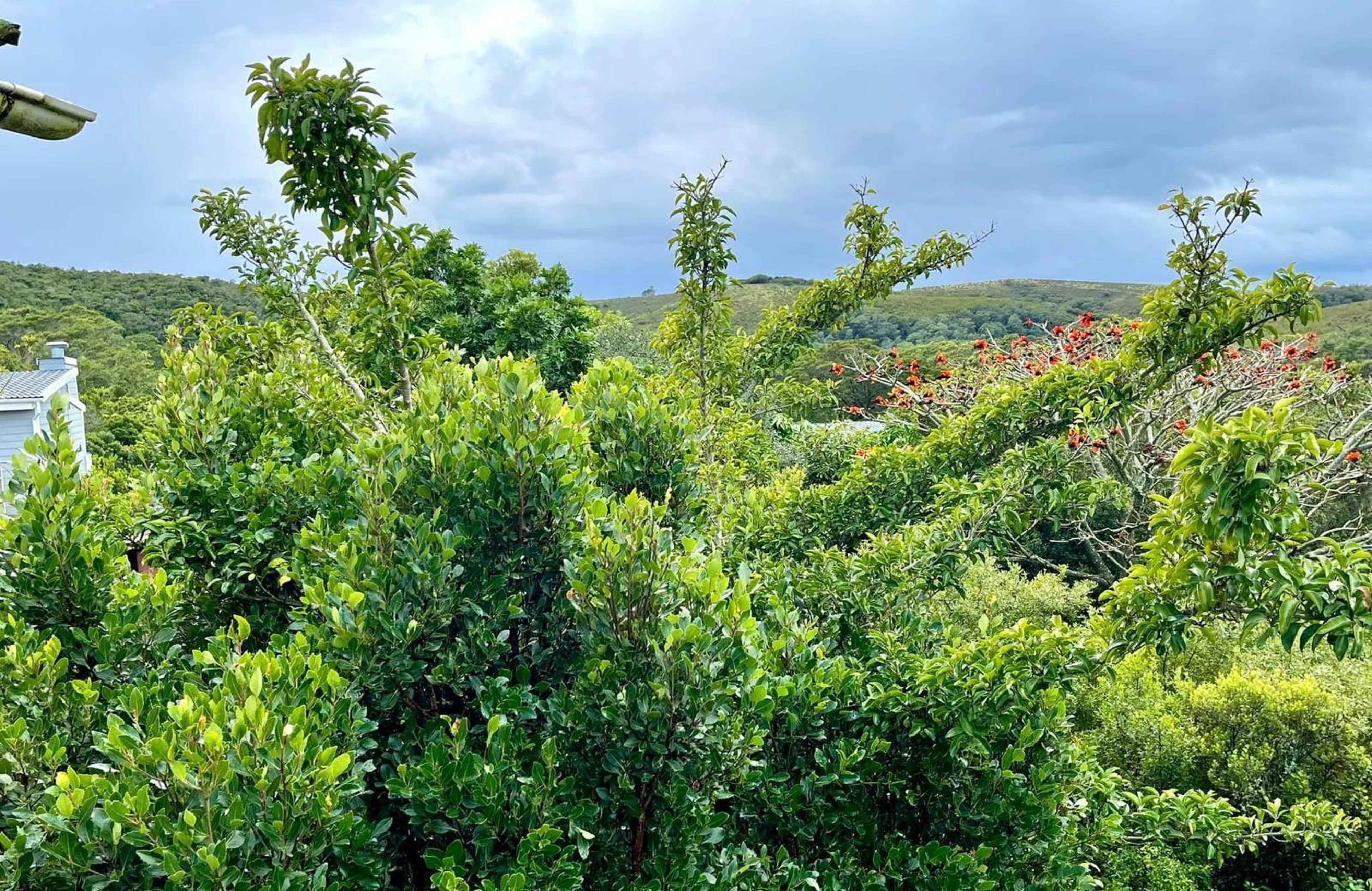 BushBuck Farm, photo 5
