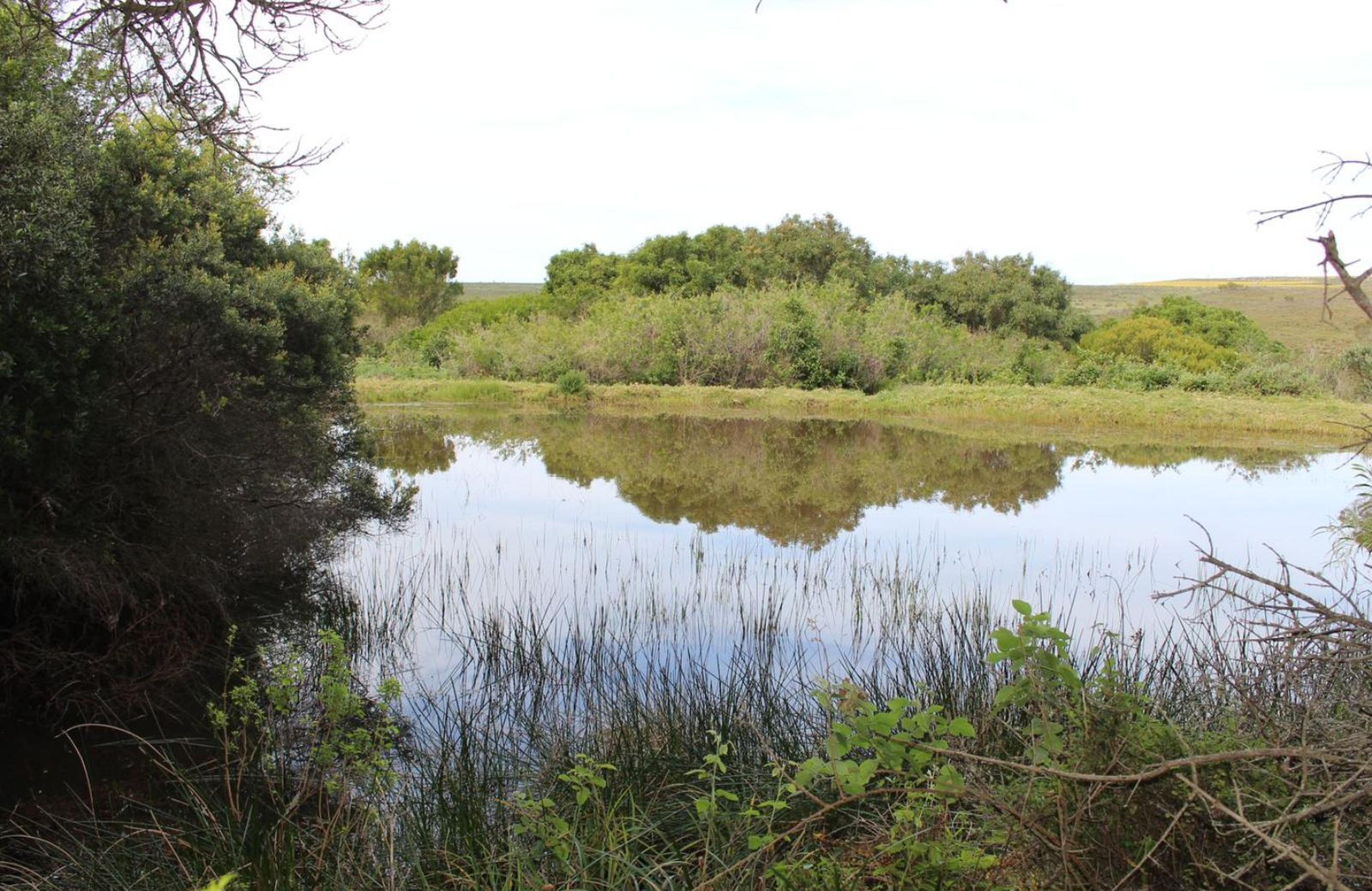 BushBuck Farm, photo 8