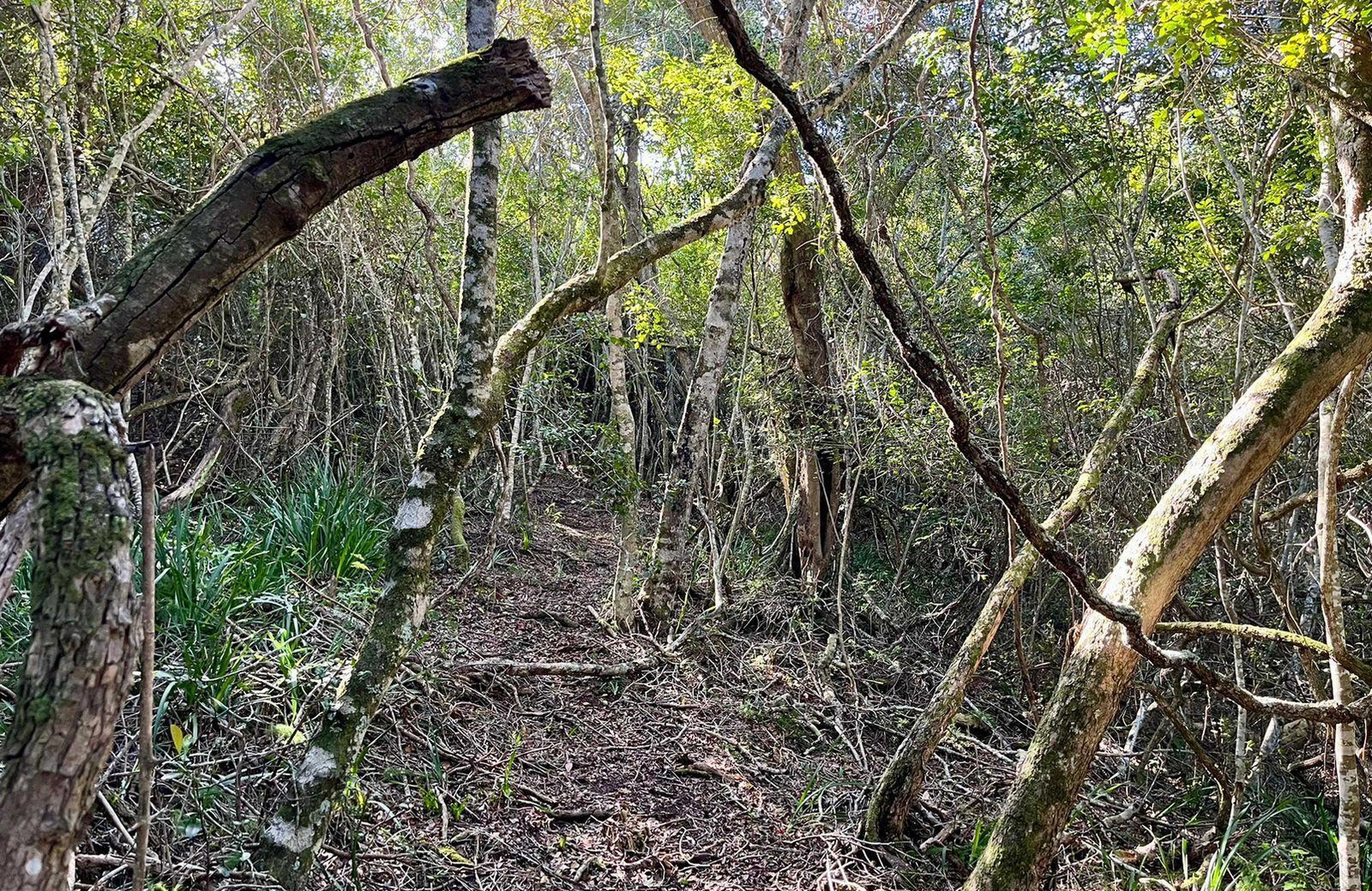 BushBuck Farm, photo 3