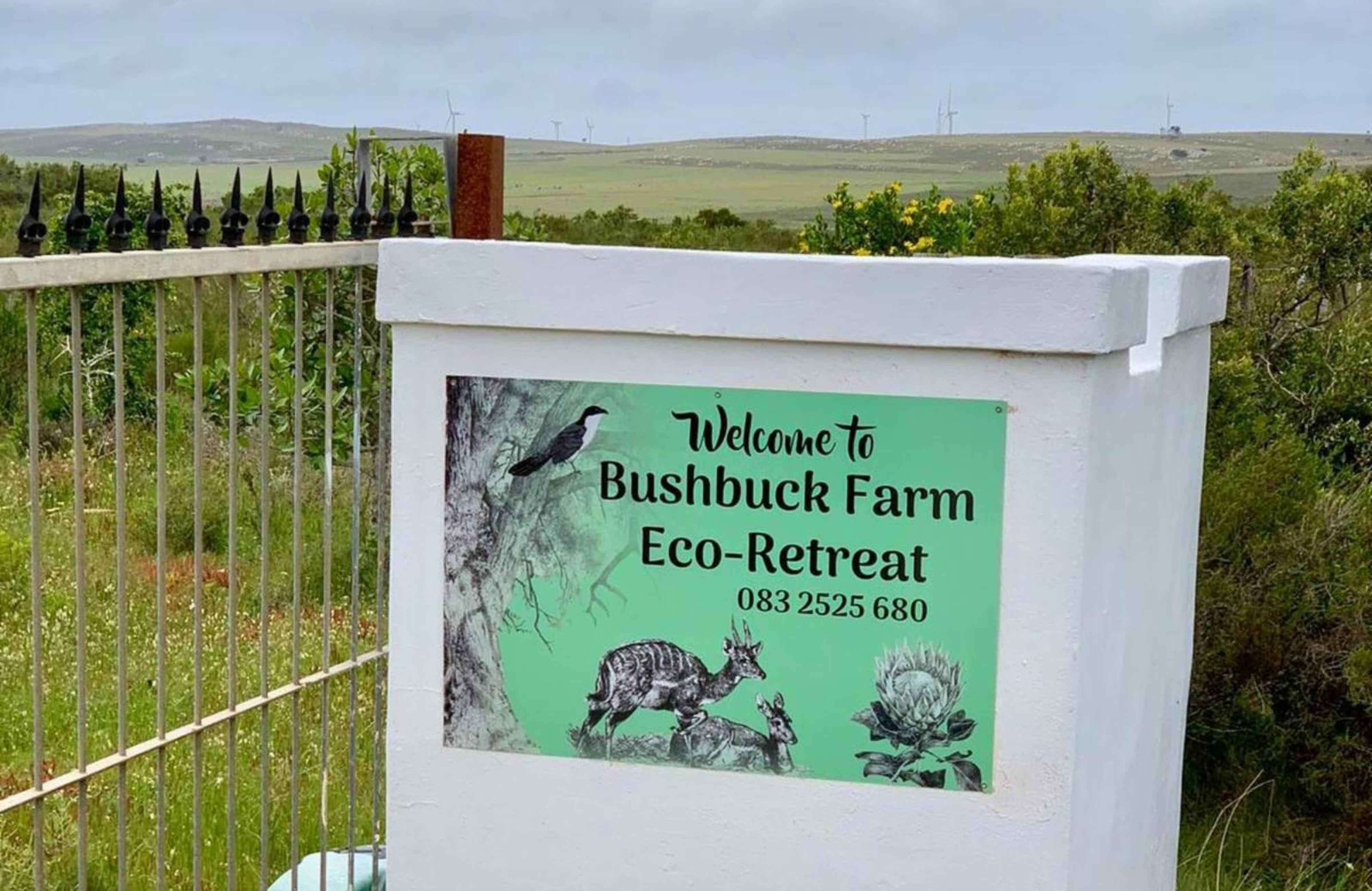 BushBuck Farm, photo 14