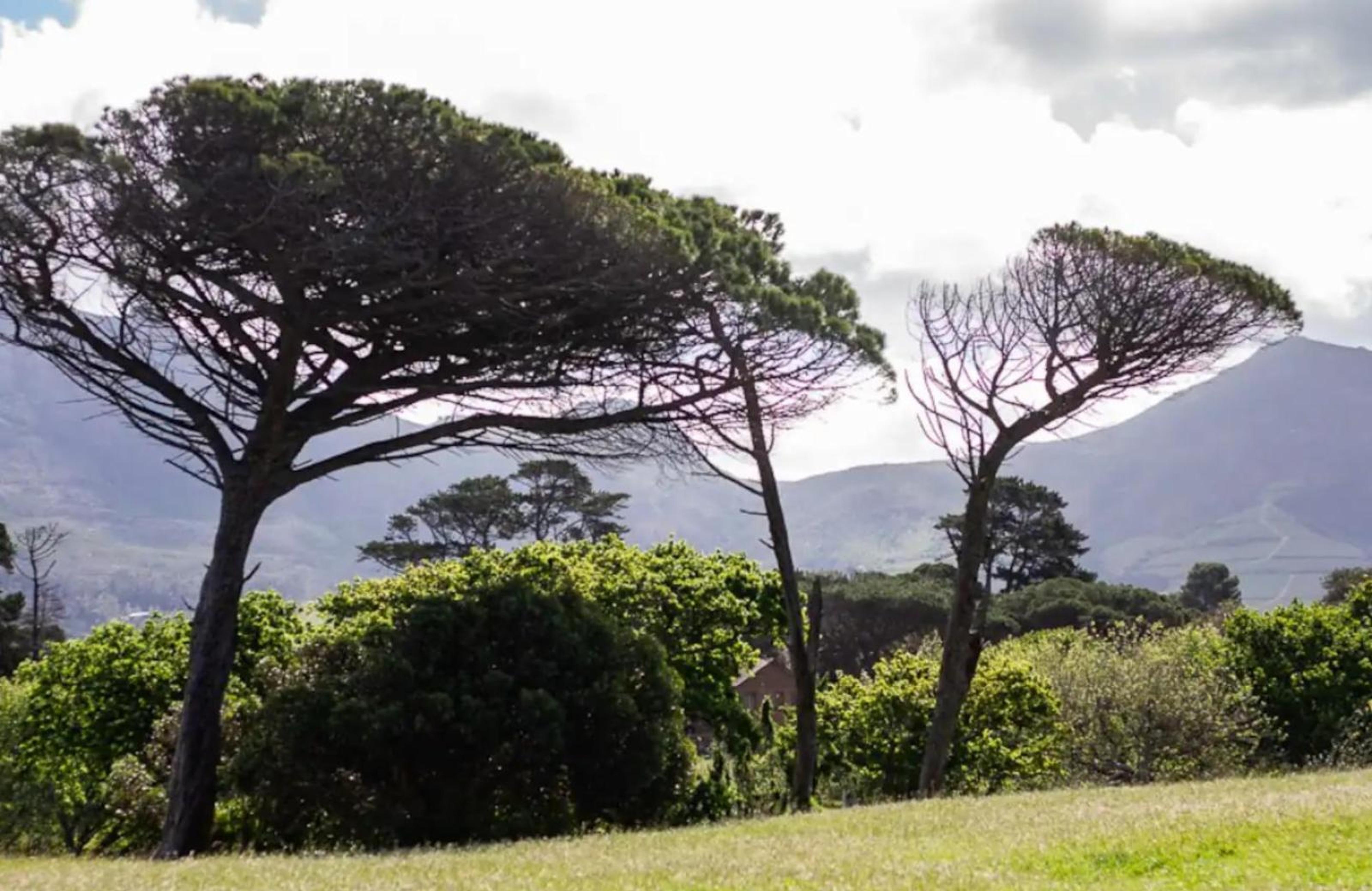 Silvertree Stays, photo 3