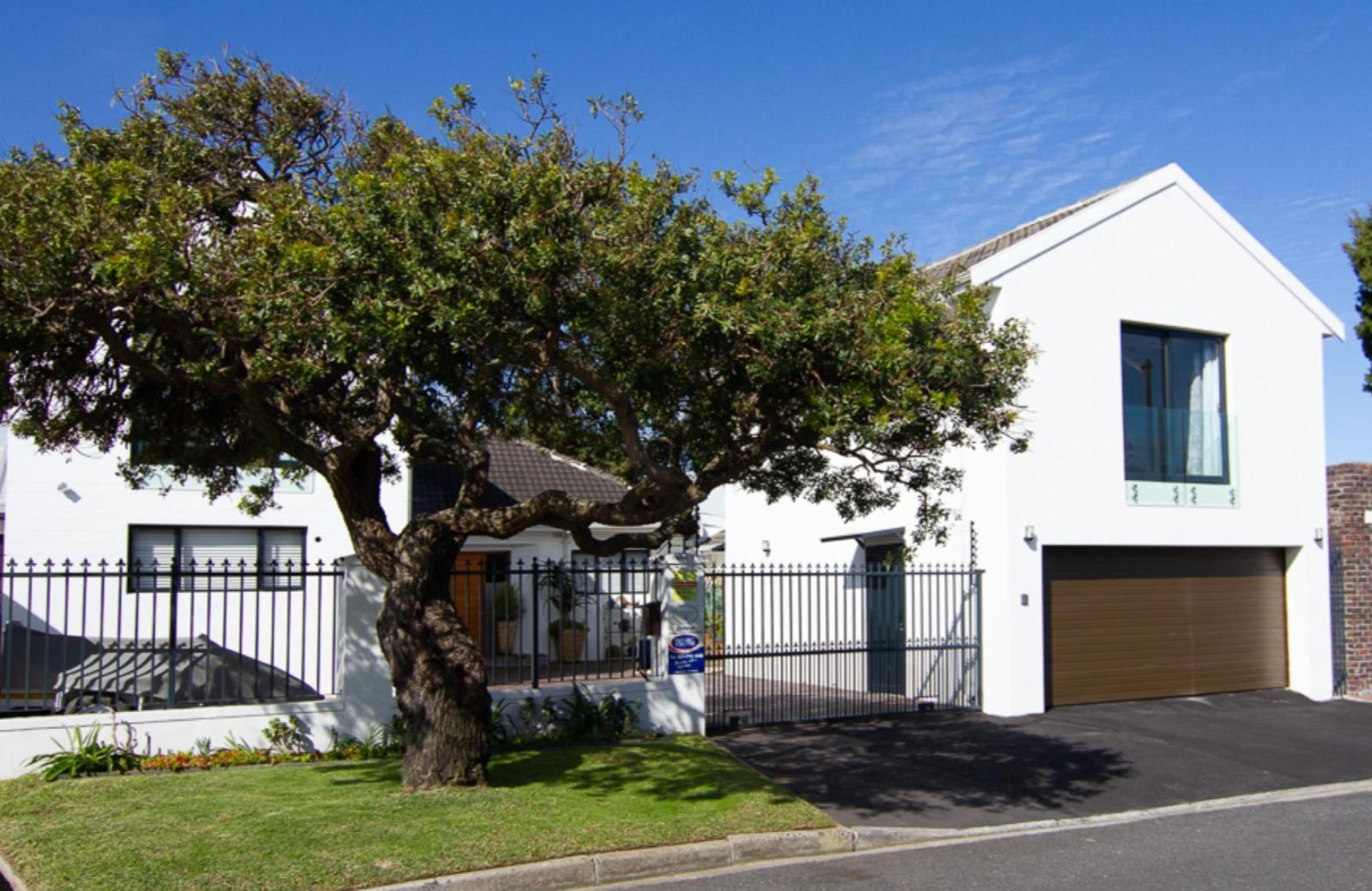 Silvertree Stays, photo 6