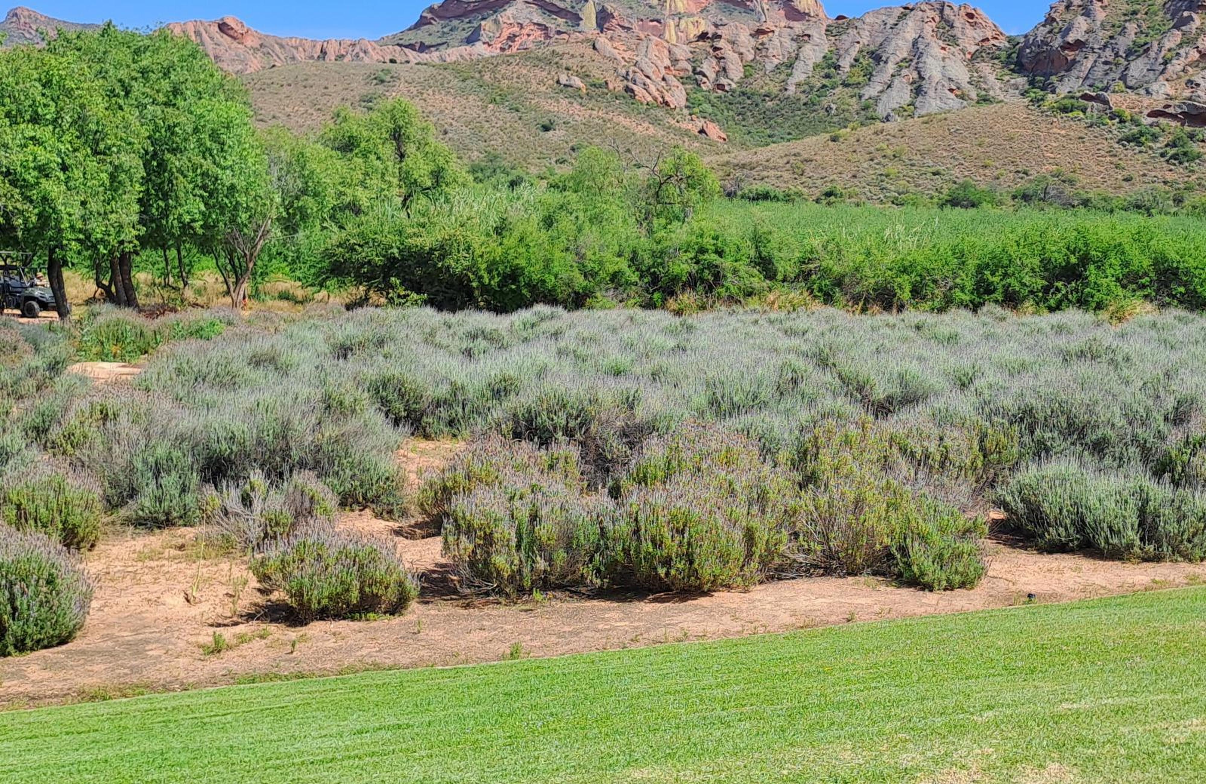 Red Ridge Mountain Lodge, photo 9