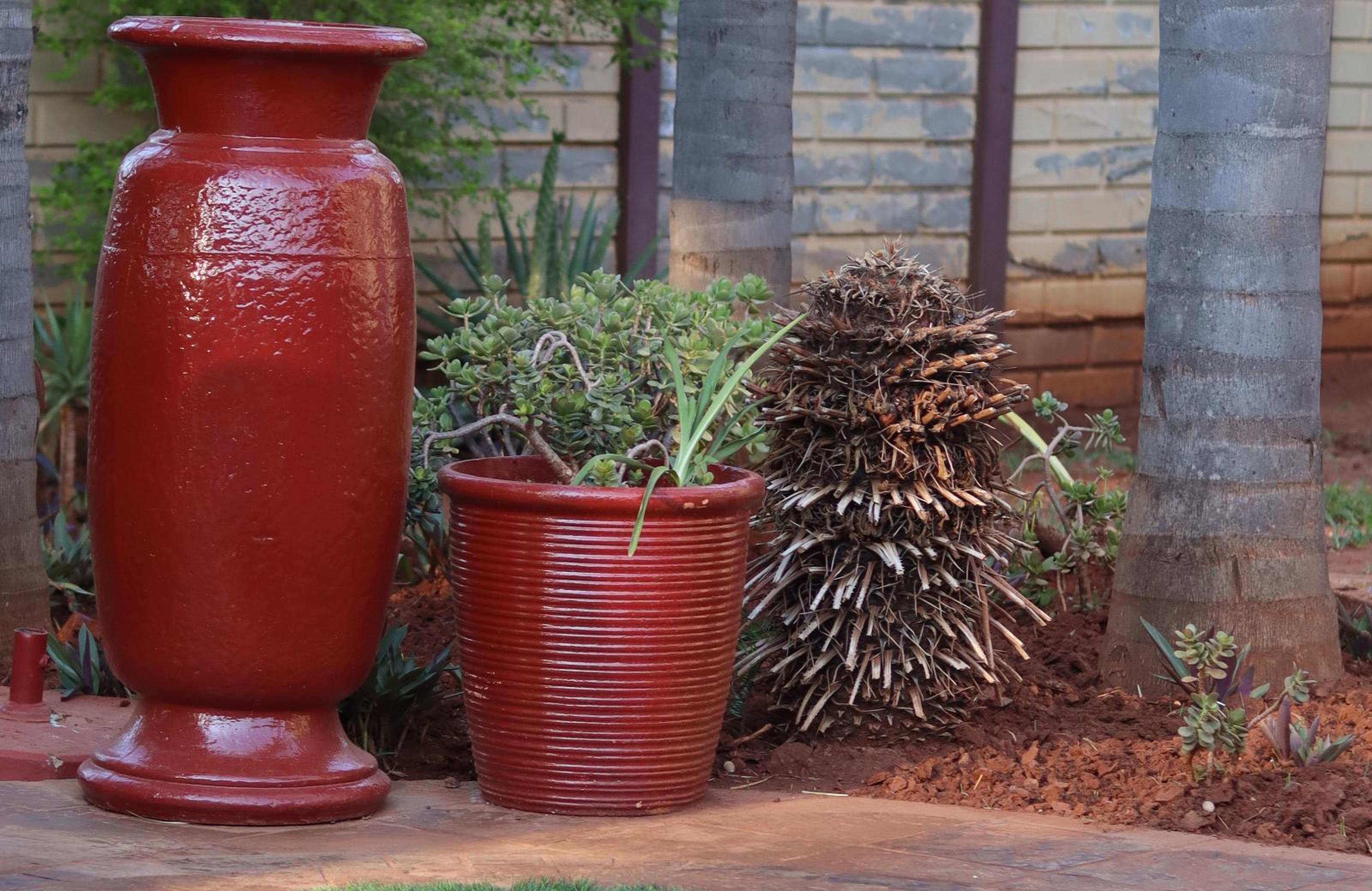 Karee Guesthouse, photo 9