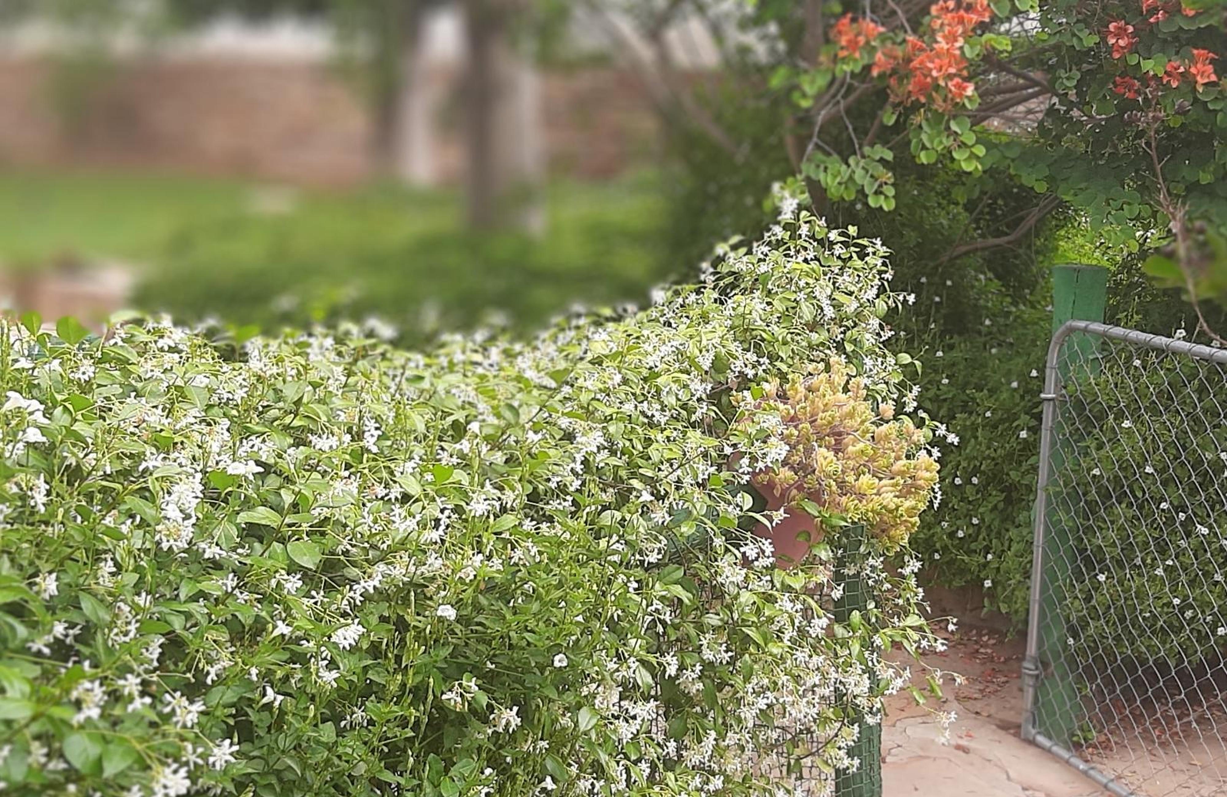 Rosenhof Guesthouse & Self-catering Cederberg, photo 2