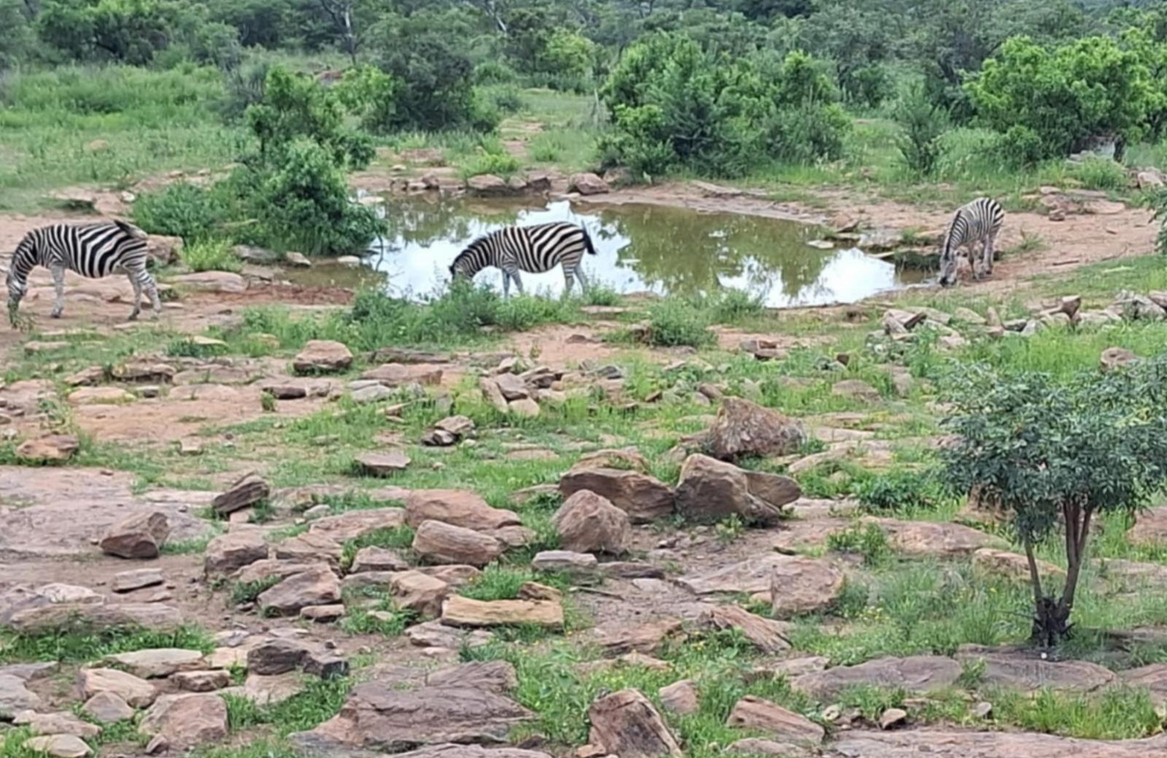 Shawu's Hide, photo 21