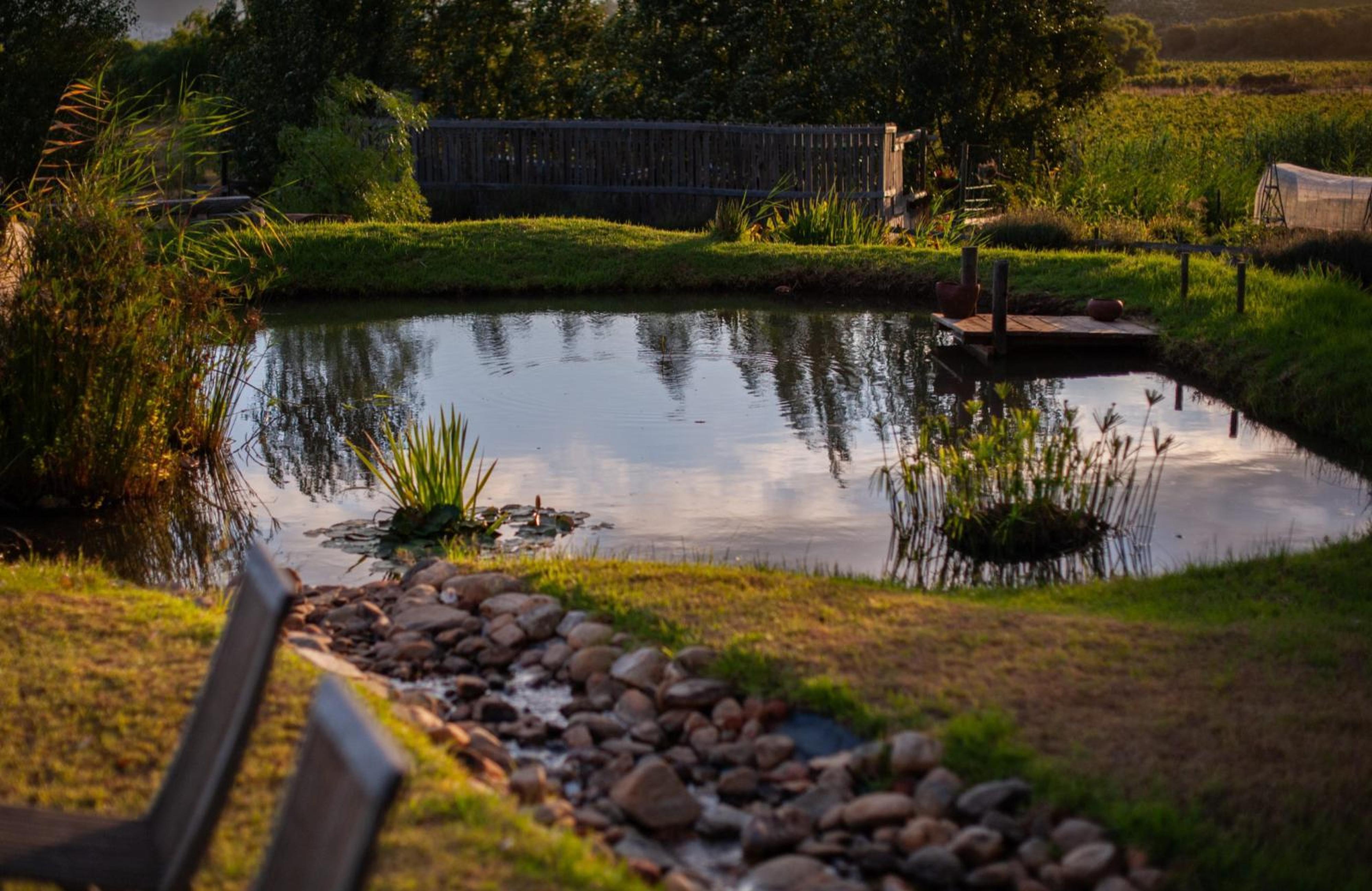 Croxley Farm, photo 3