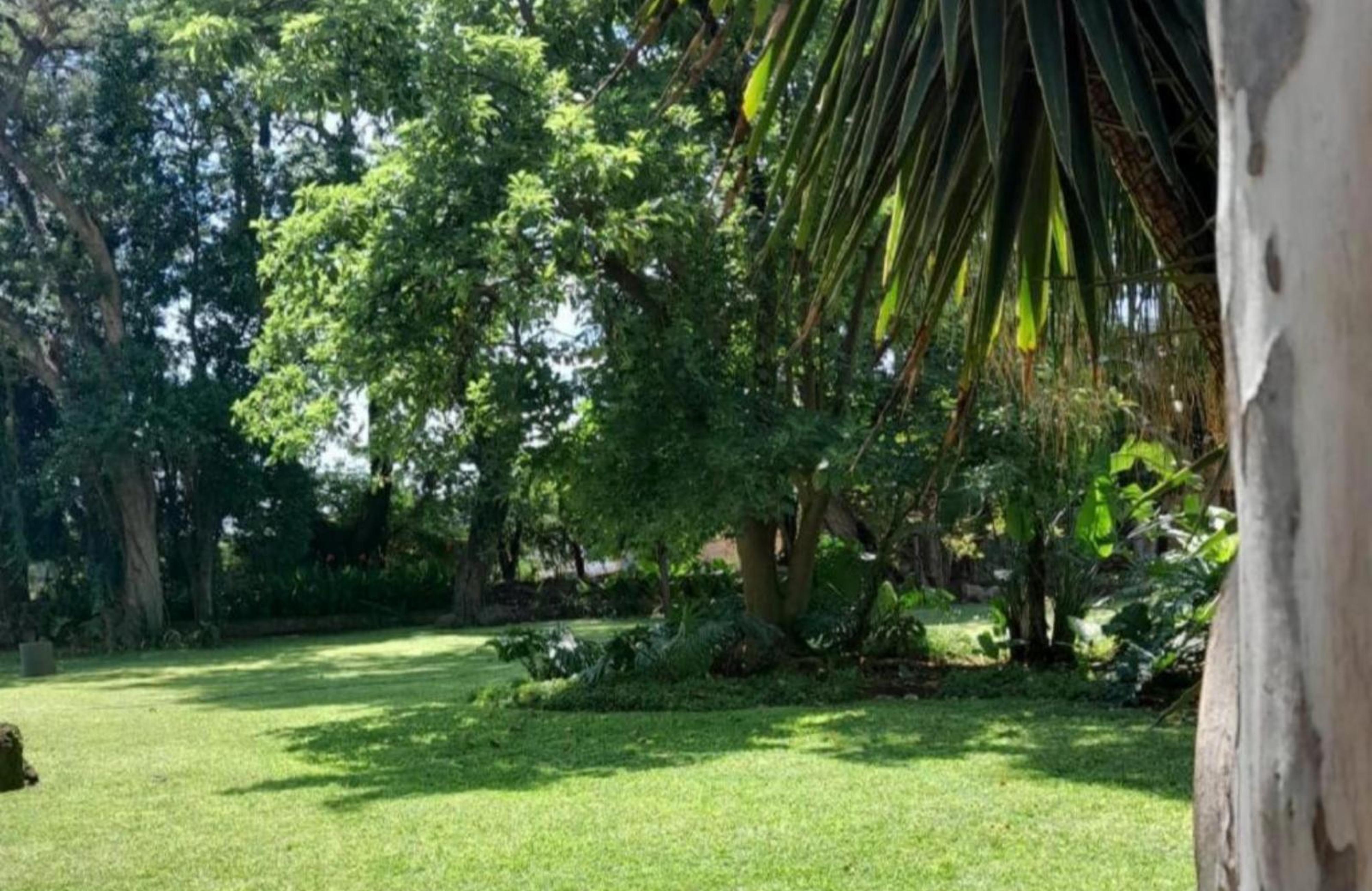 Phomola Guesthouse, photo 8