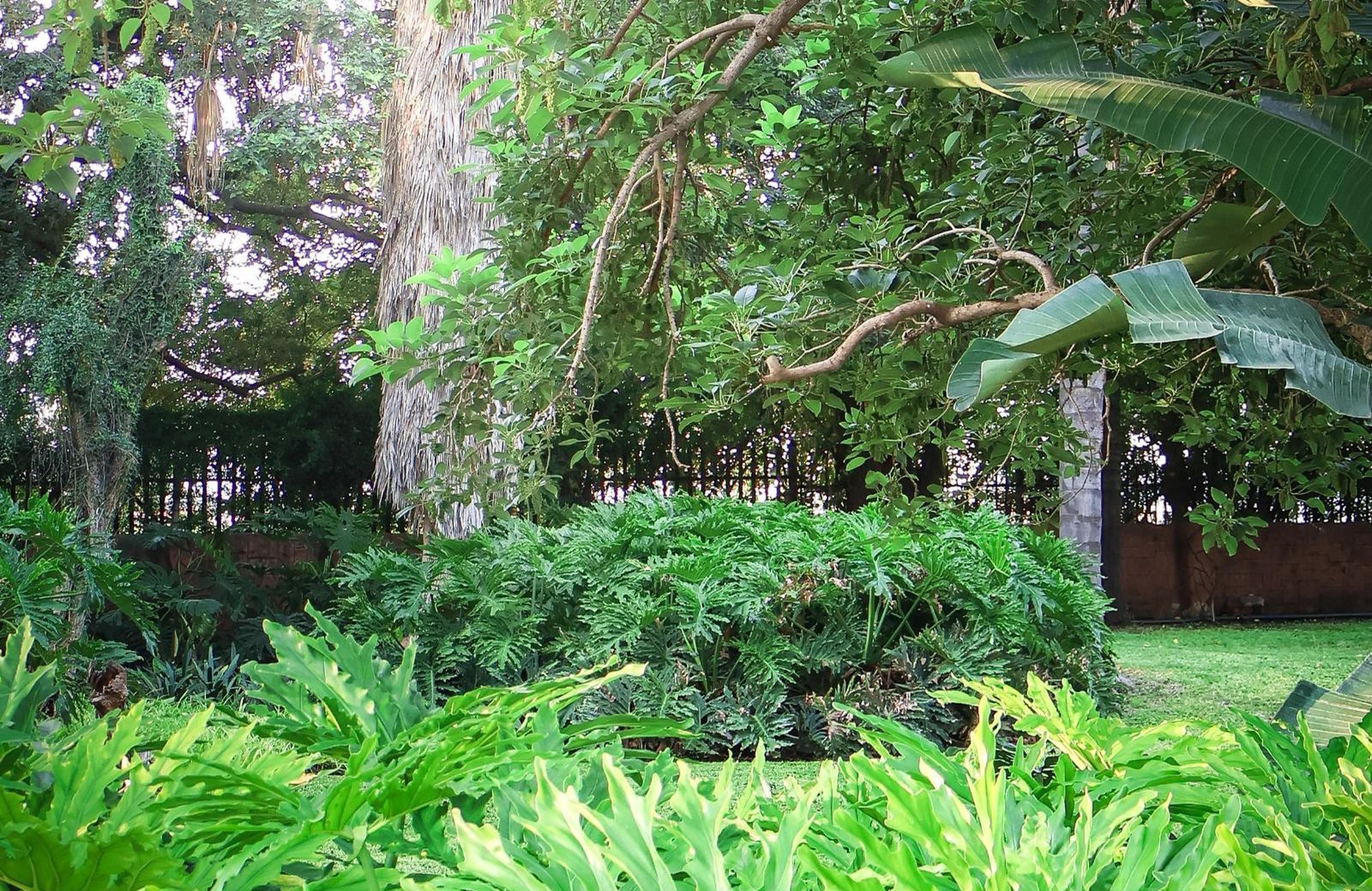 Phomola Guesthouse, photo 4