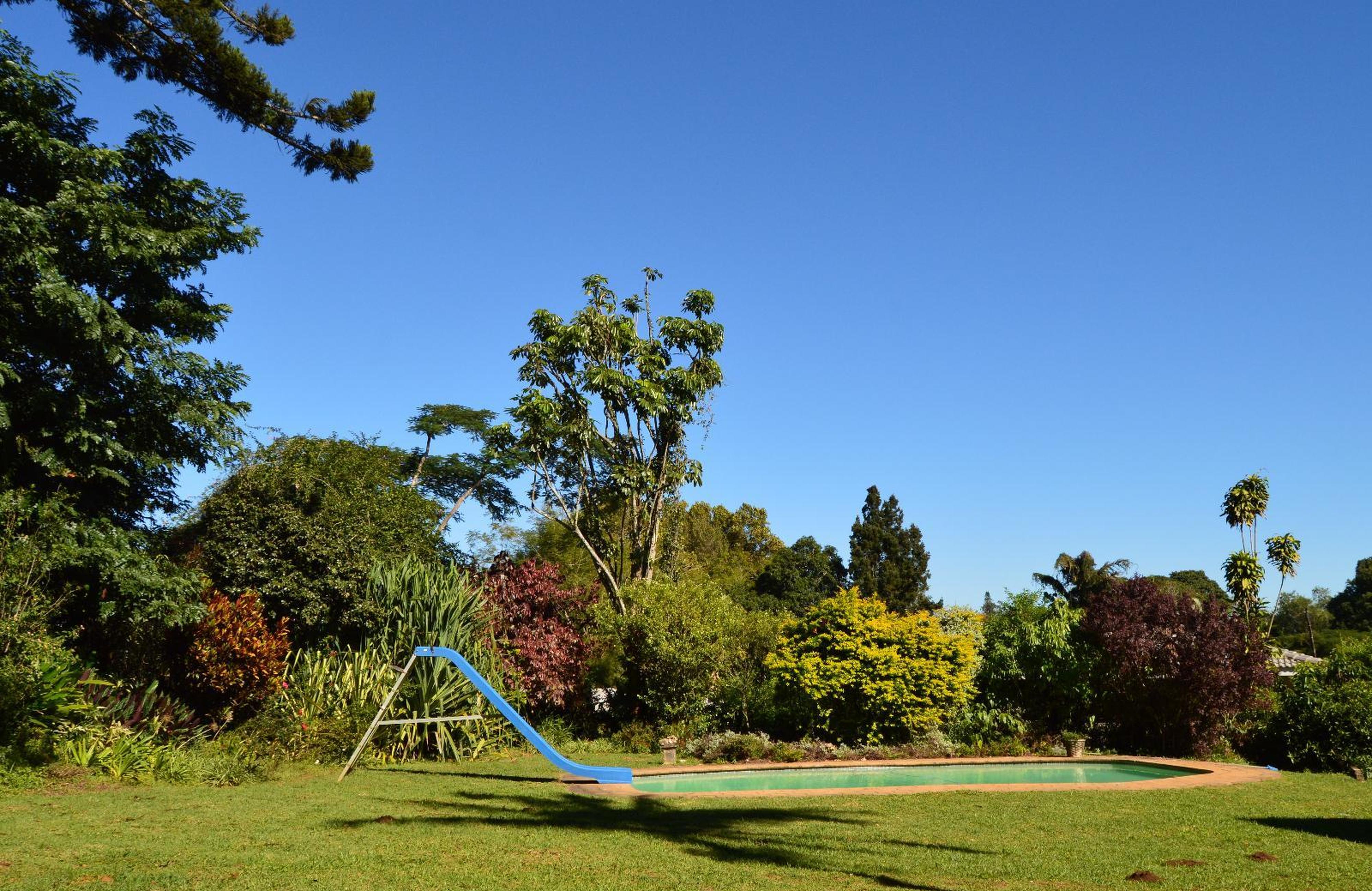 Afrika House, photo 10