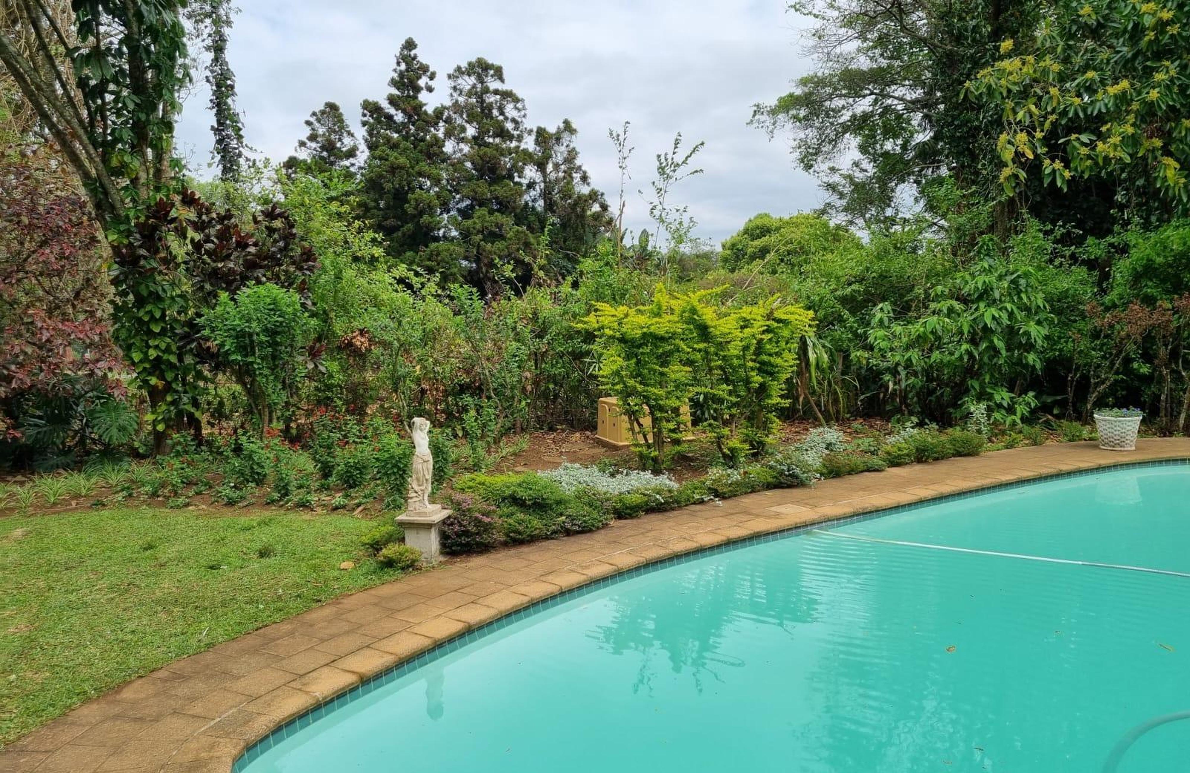 Afrika House, photo 7