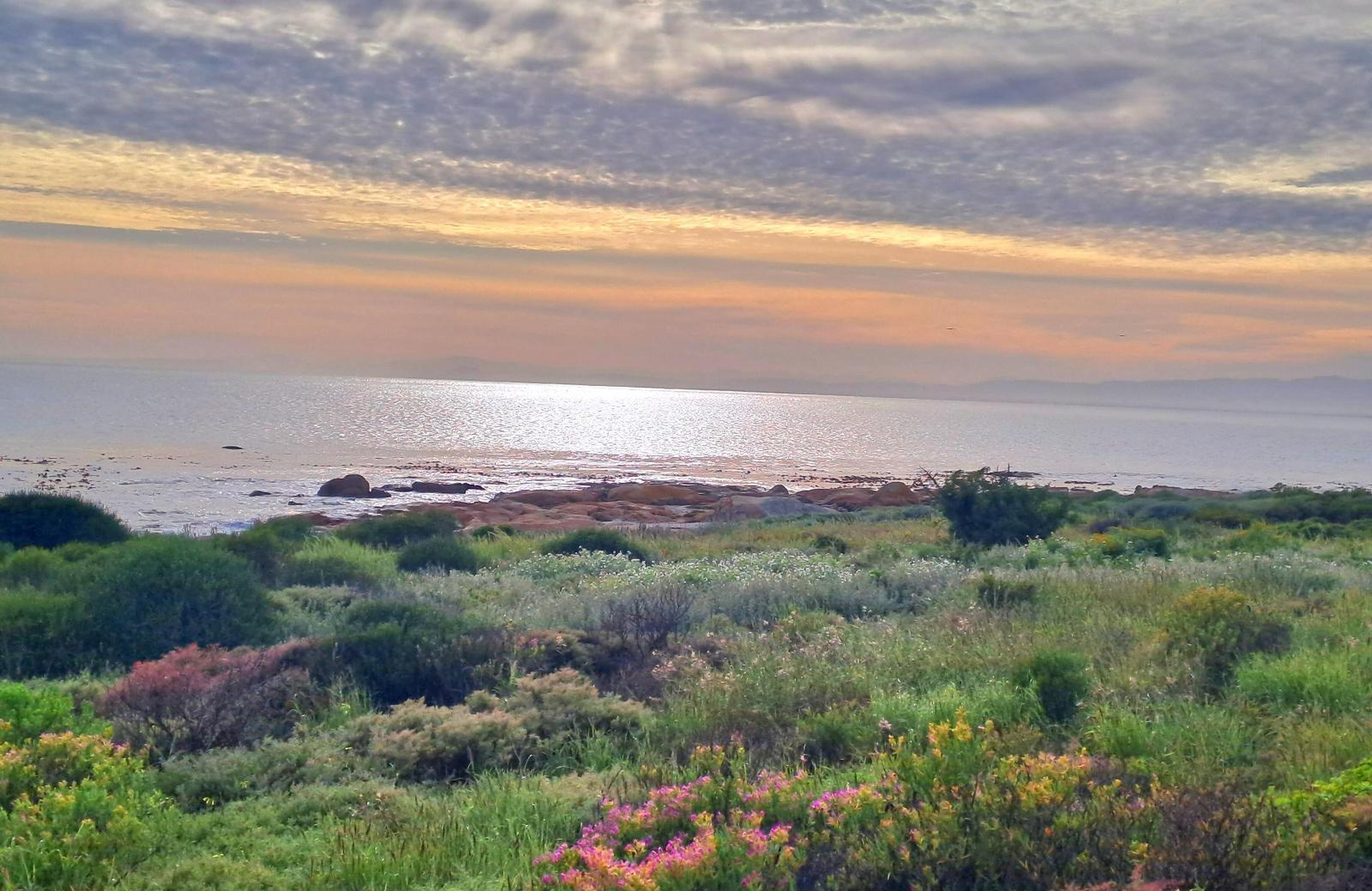 West Coast Rock, photo 23