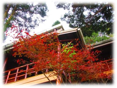 Da Kuan Peach Farm Resort 達觀農場民宿