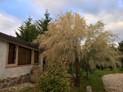Tamerici House
