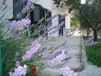 Apartments Smiljana