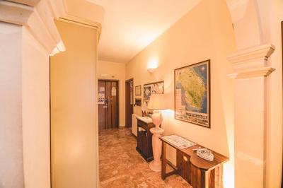 Aurora Rooms