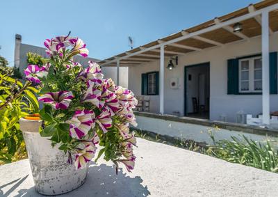 Mandrakia Bliss House