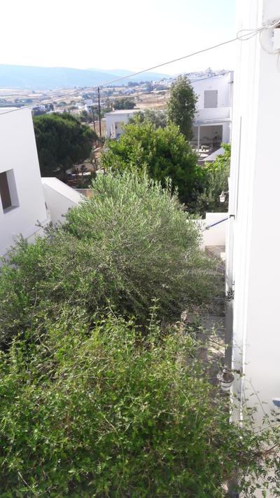 Thalia Apartment