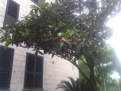 La Mia Apartment